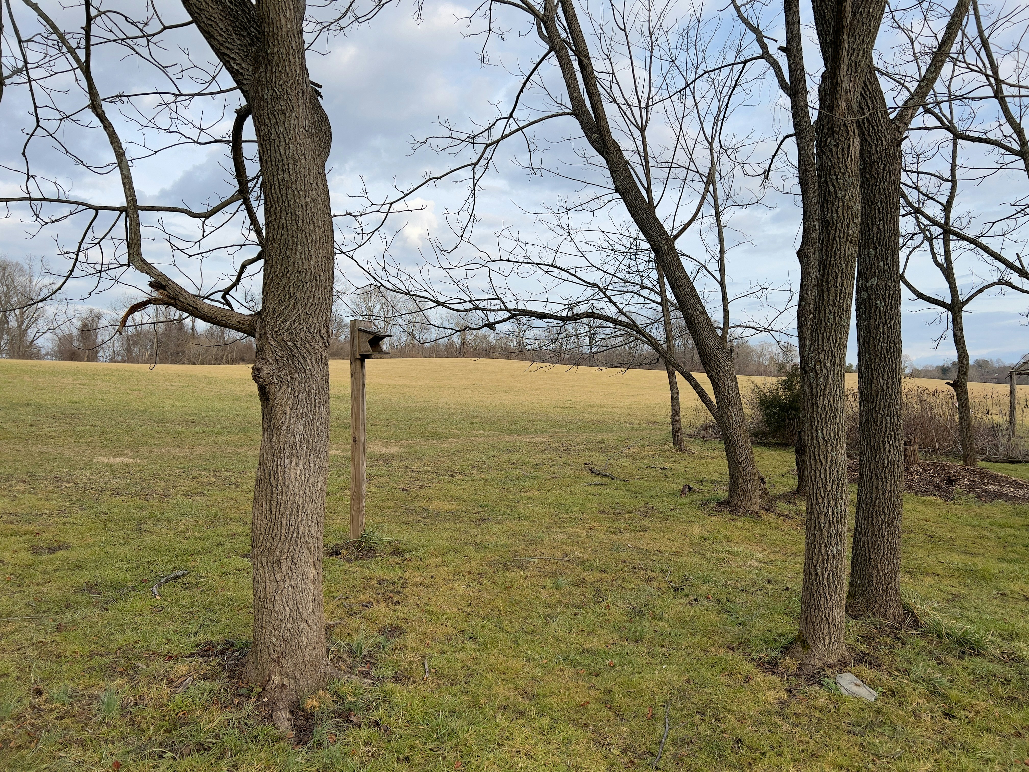 Photo by kkgcreativ3