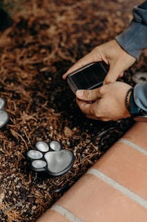 Hands are holding a small solar panel device above soil covered with pine needles. A decorative light shaped like a paw print is partially visible on the left side.