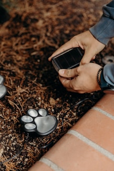 Hands are holding a small solar panel device above soil covered with pine needles. A decorative light shaped like a paw print is partially visible on the left side.