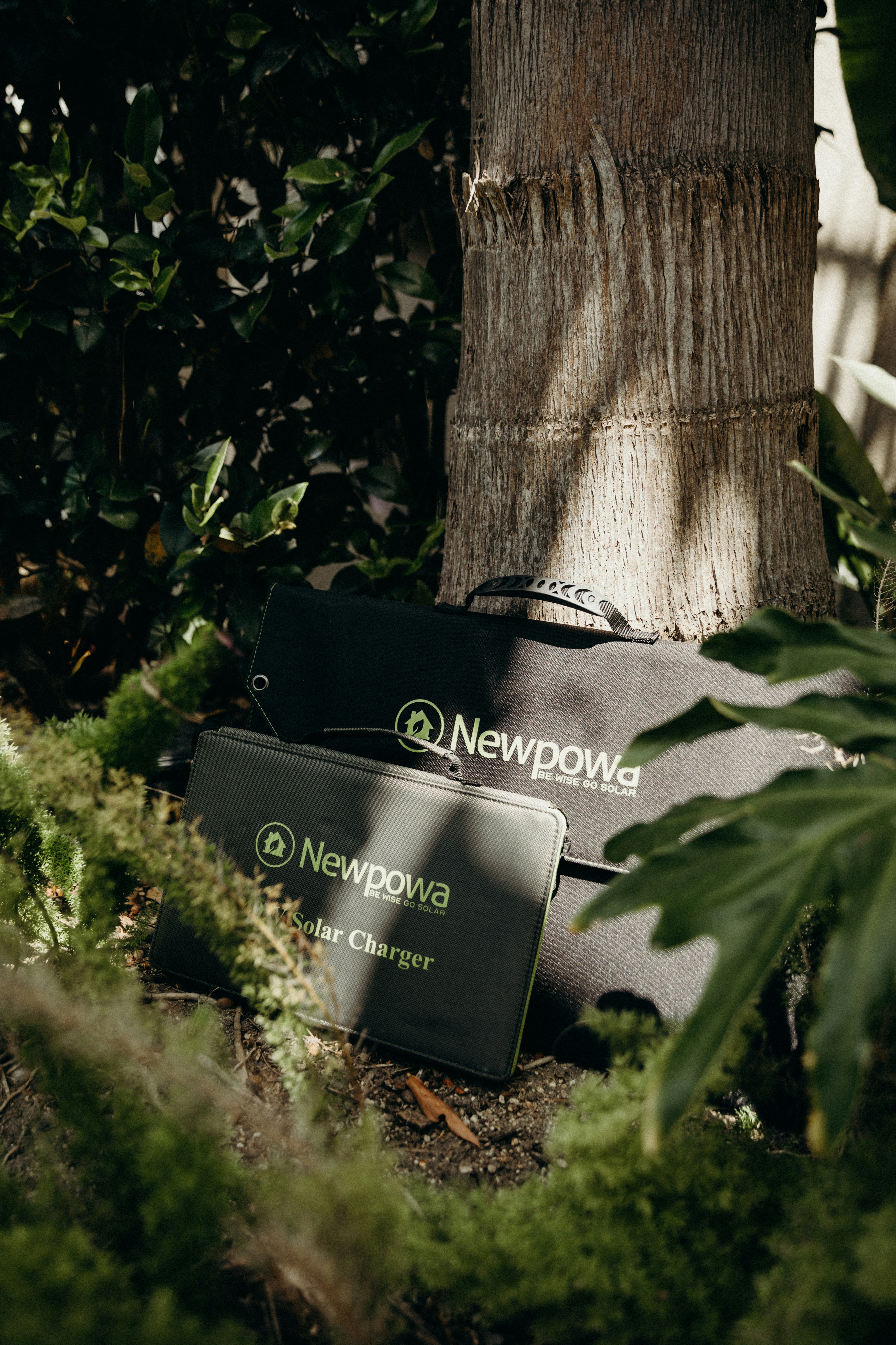 a bag sitting on the ground next to a tree