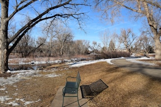 A winter landscape featuring a park trail with a partially snow-covered path. Leafless trees line the trail and the surrounding area. A green metal bench is situated beside the path, casting a long shadow in the sunlight. Patches of snow and ice are visible on the ground.