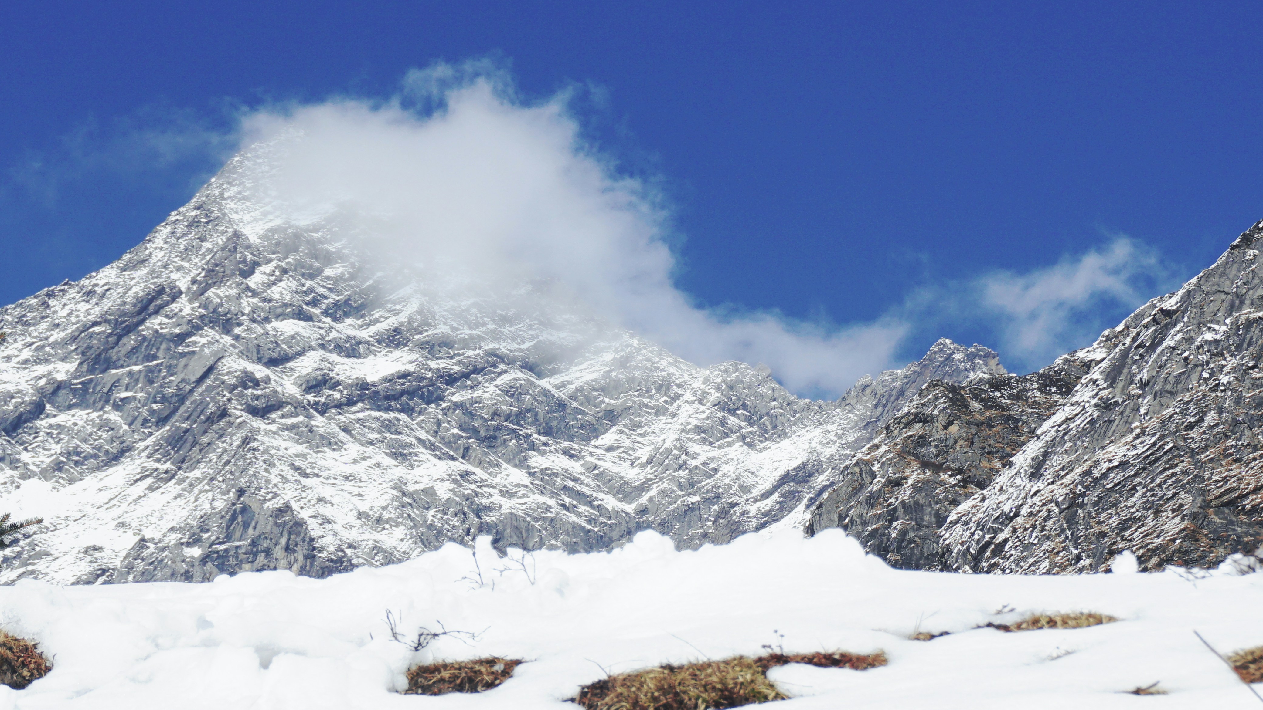 Photo by decembobo_cc