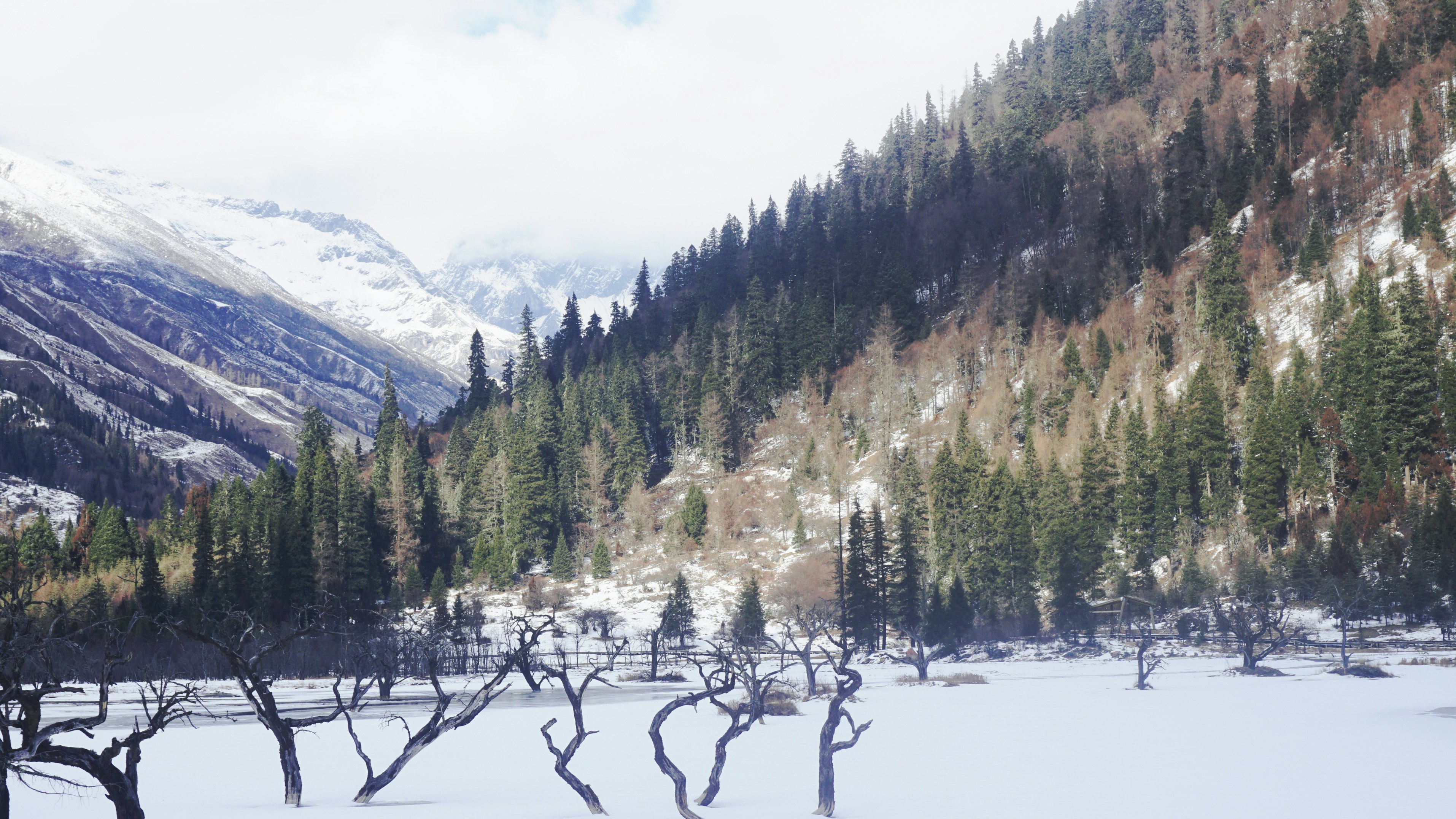 Photo by decembobo_cc