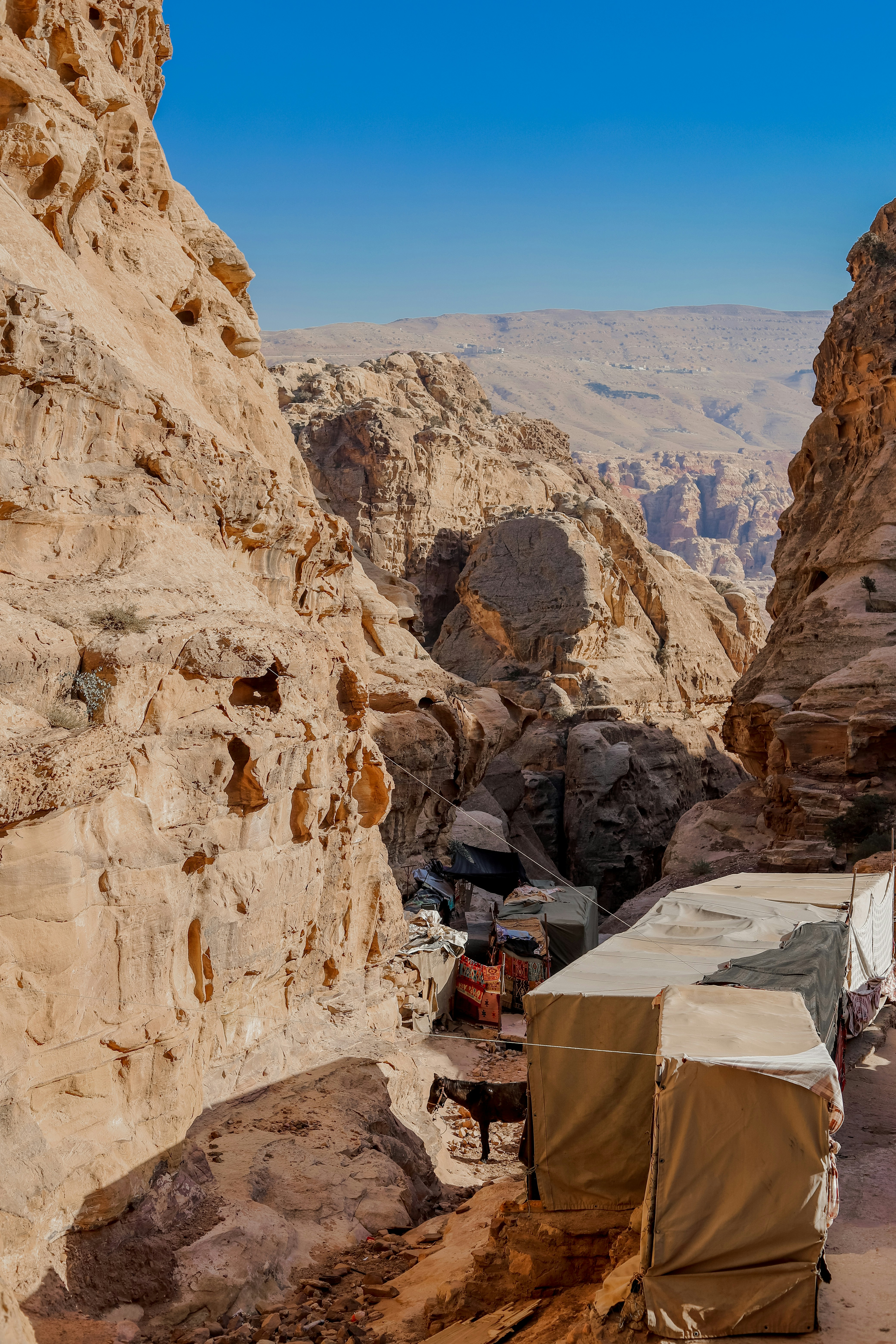 12 Bedouin Hospitality Traditions Found in Wadi Rum Luxury Desert Camps