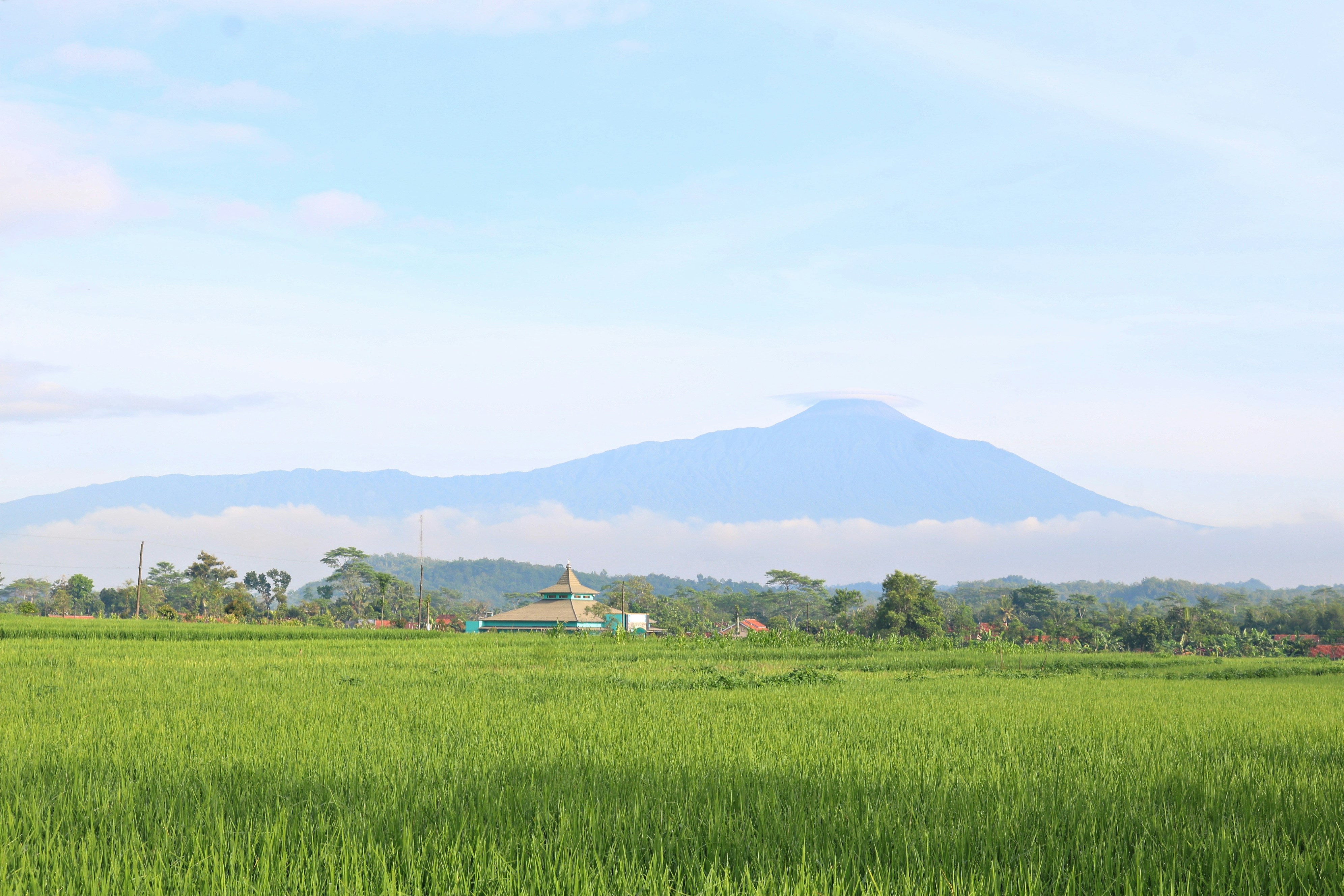 a green field with a mountain in the background