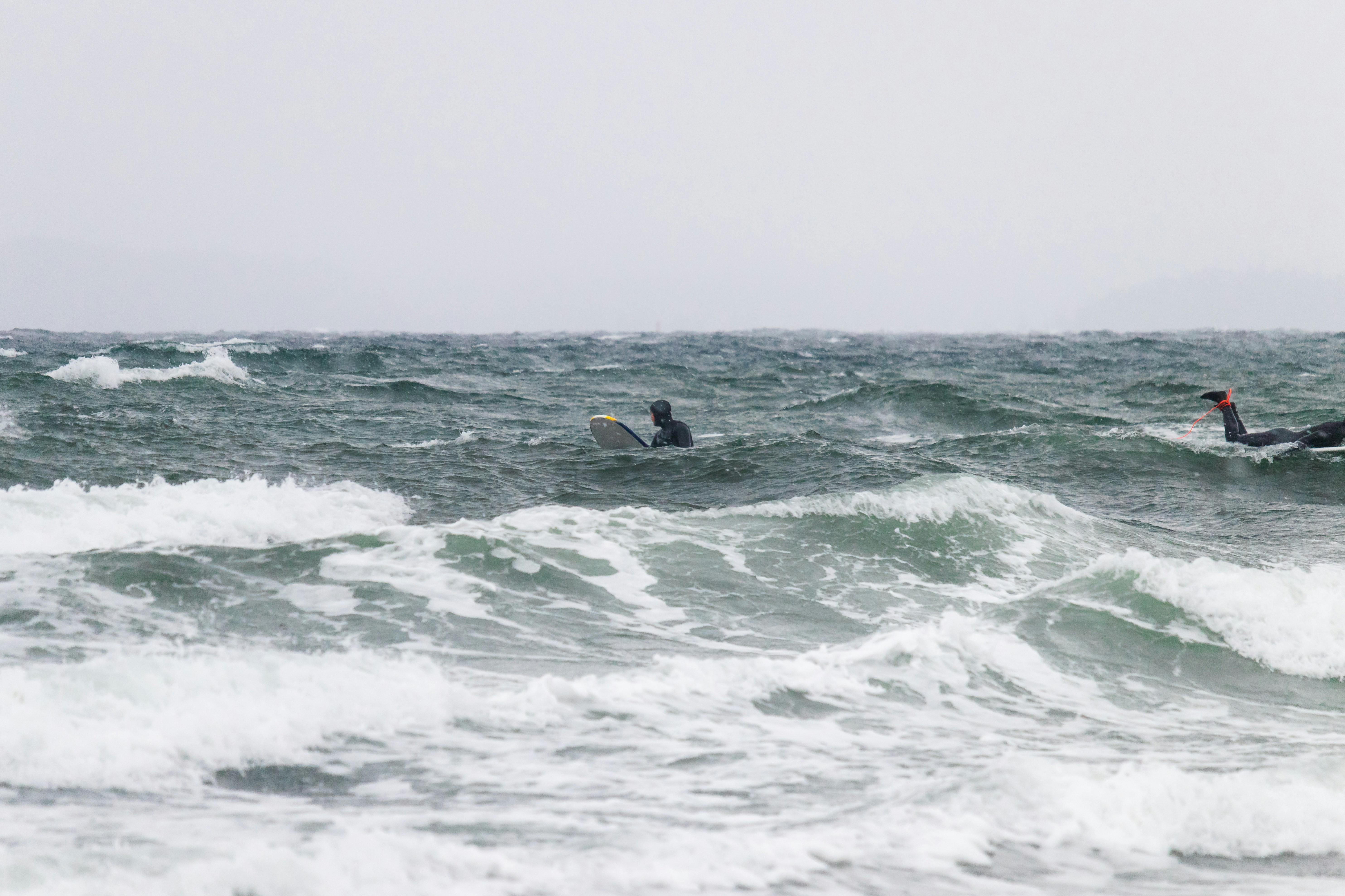 Photo by greg_rosenke