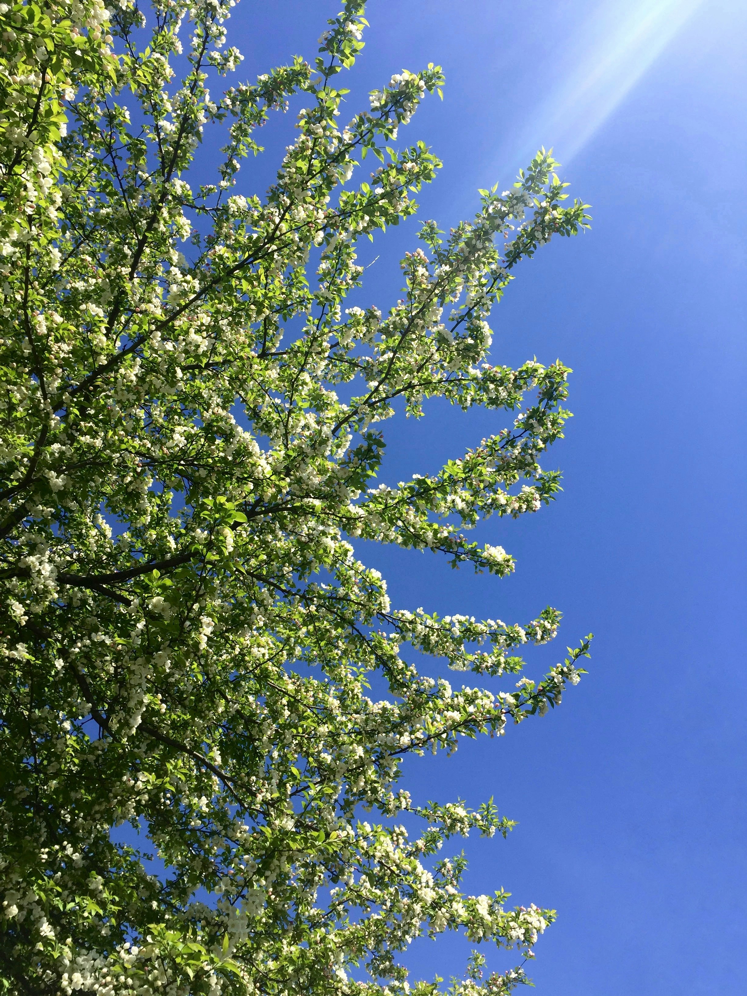 Photo by _apriladriana_