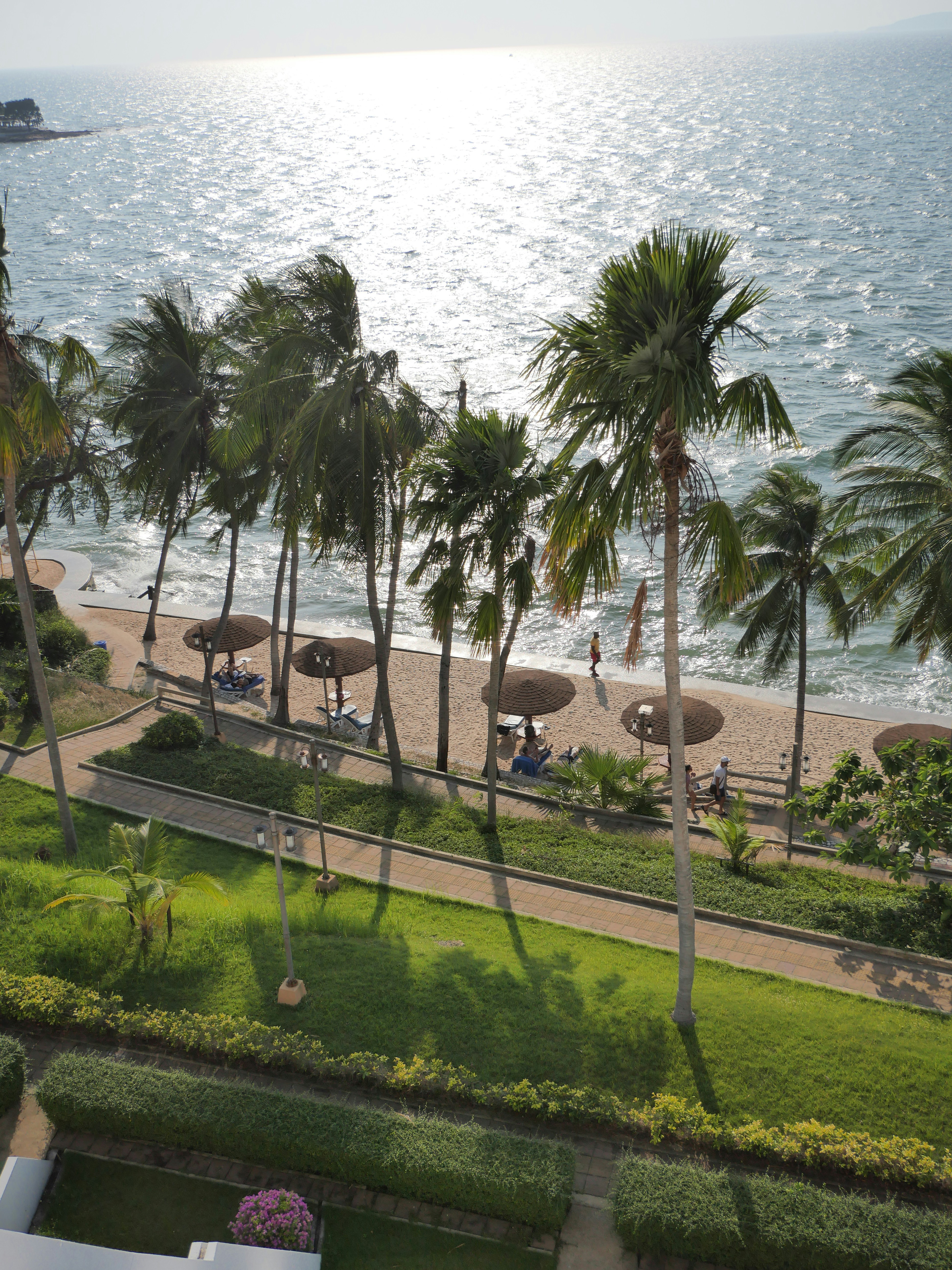 a view of a beach with palm trees and umbrellas