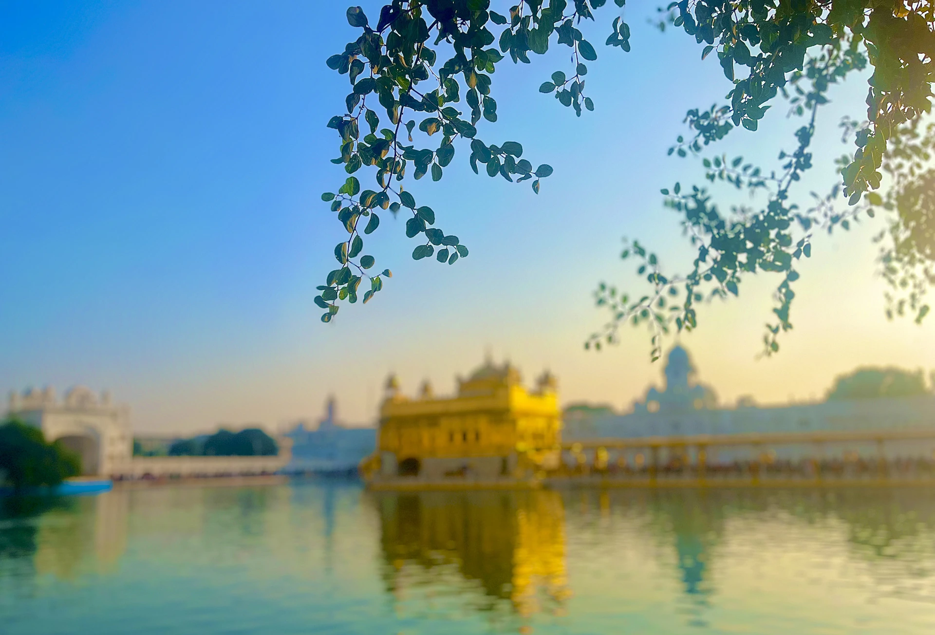 woman wearing yellow long-sleeved dress under white clouds and blue sky during daytime