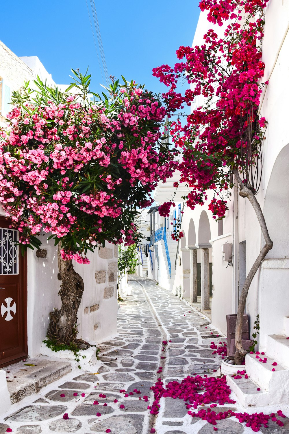 a narrow street with white buildings and pink flowers