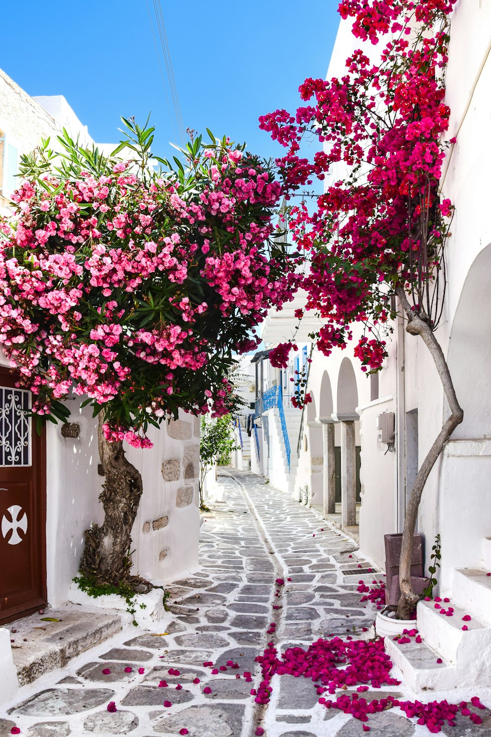 uma rua estreita com edifícios brancos e flores cor-de-rosa