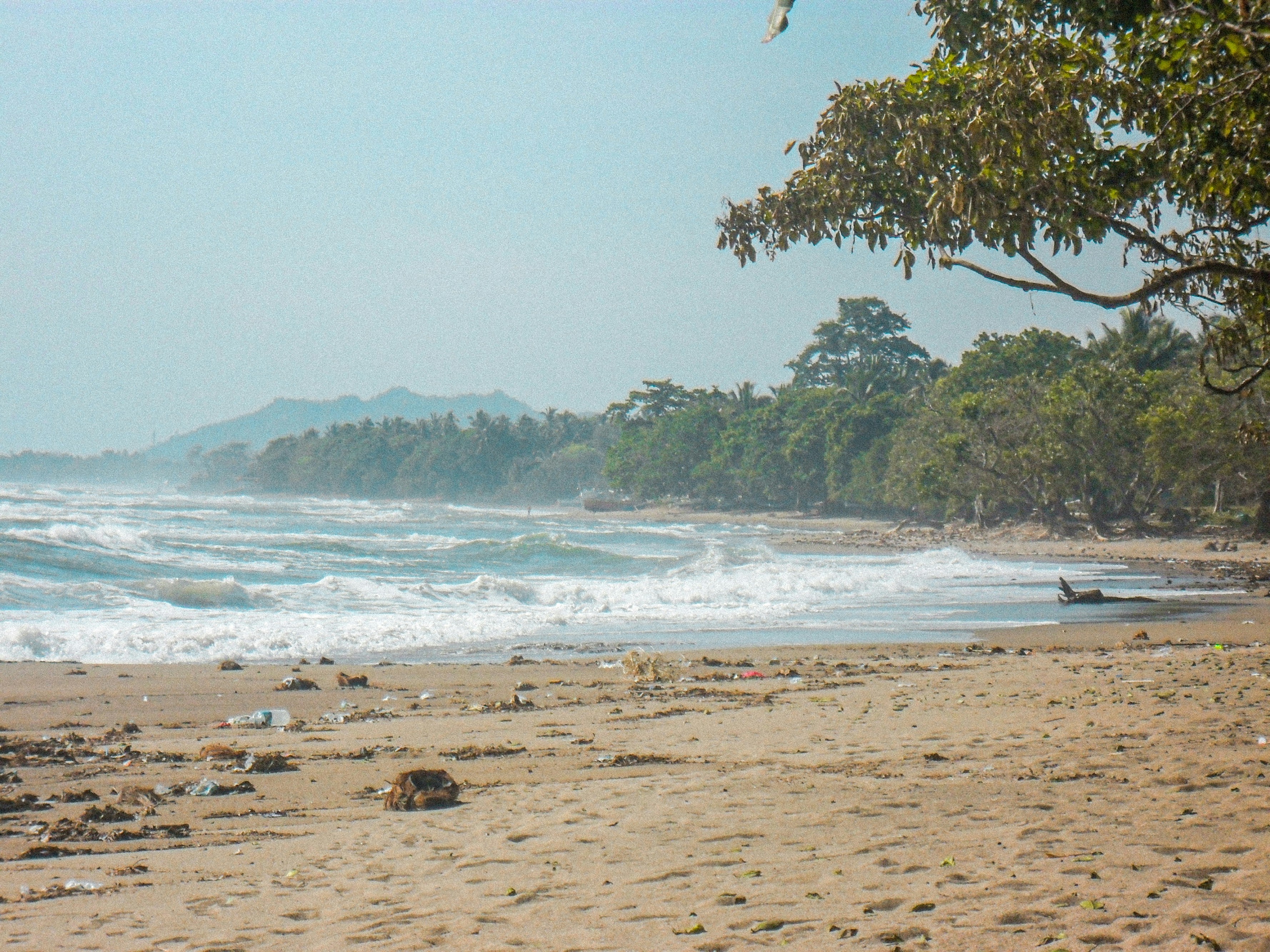 Photo by bellecoleen