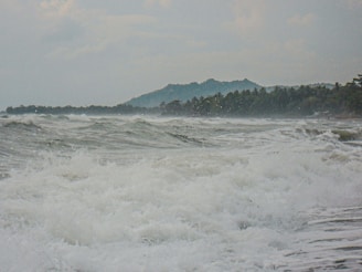 a large body of water surrounded by trees