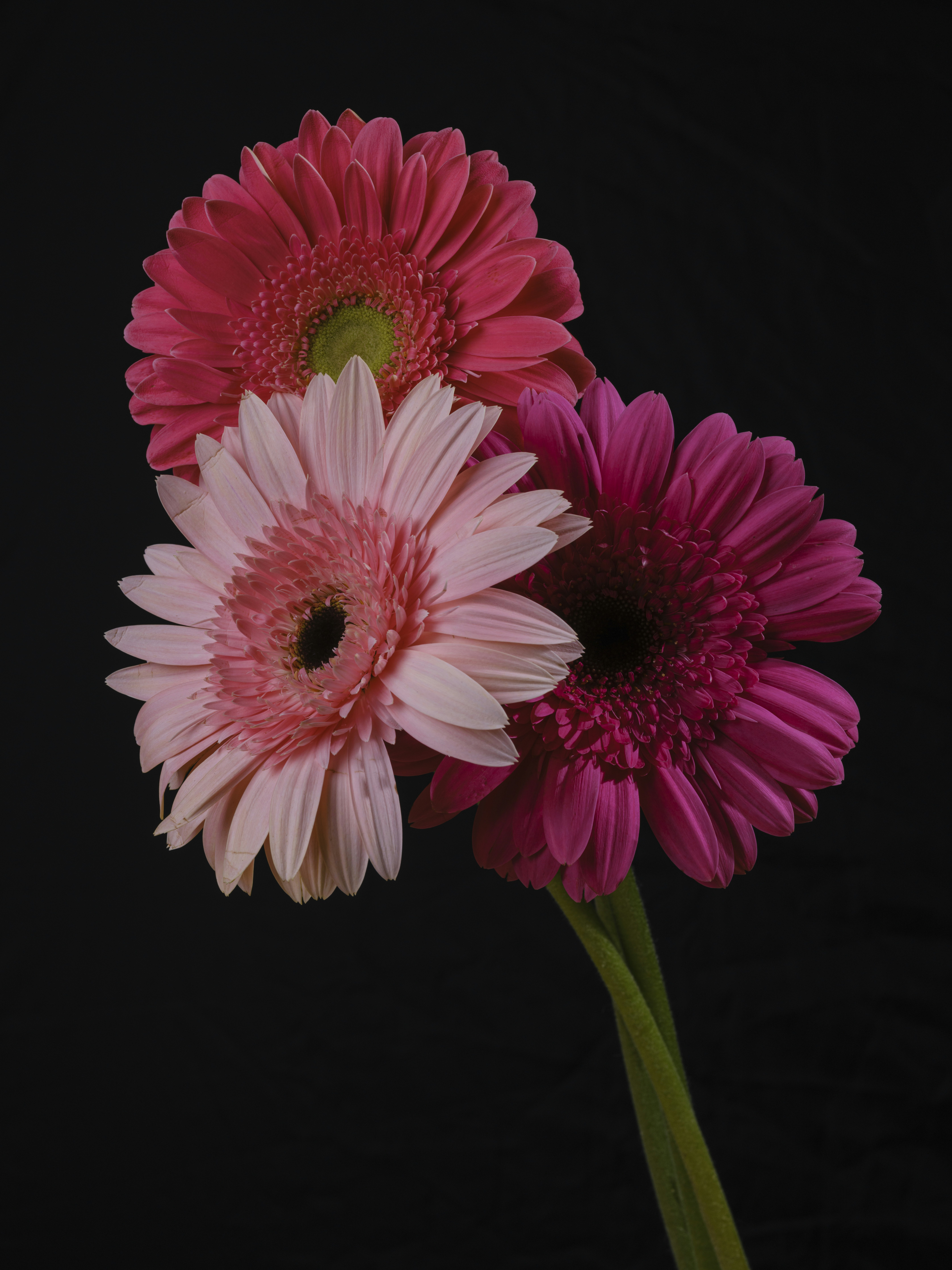 Photo by enginakyurt