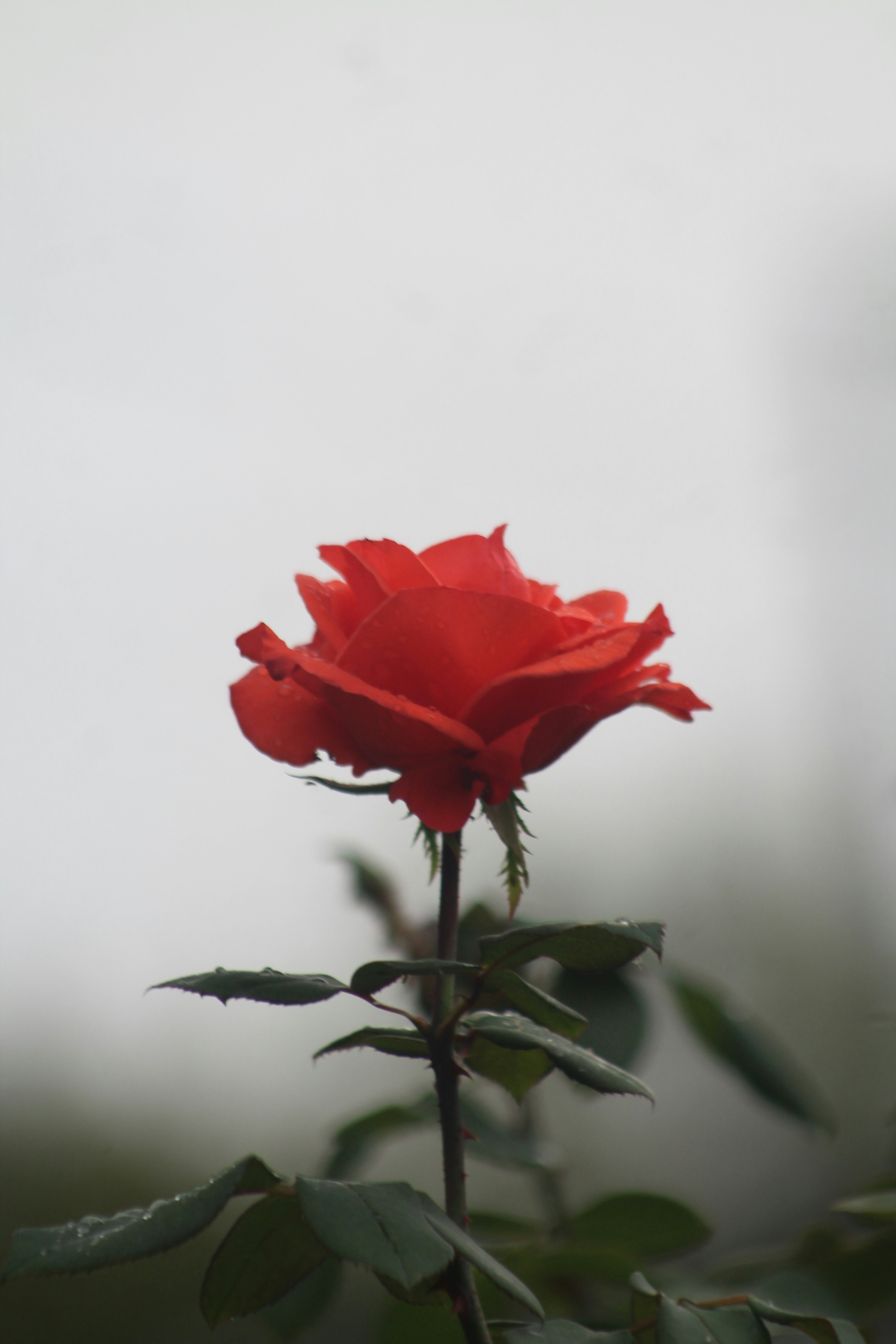 Photo by capturesbyusama