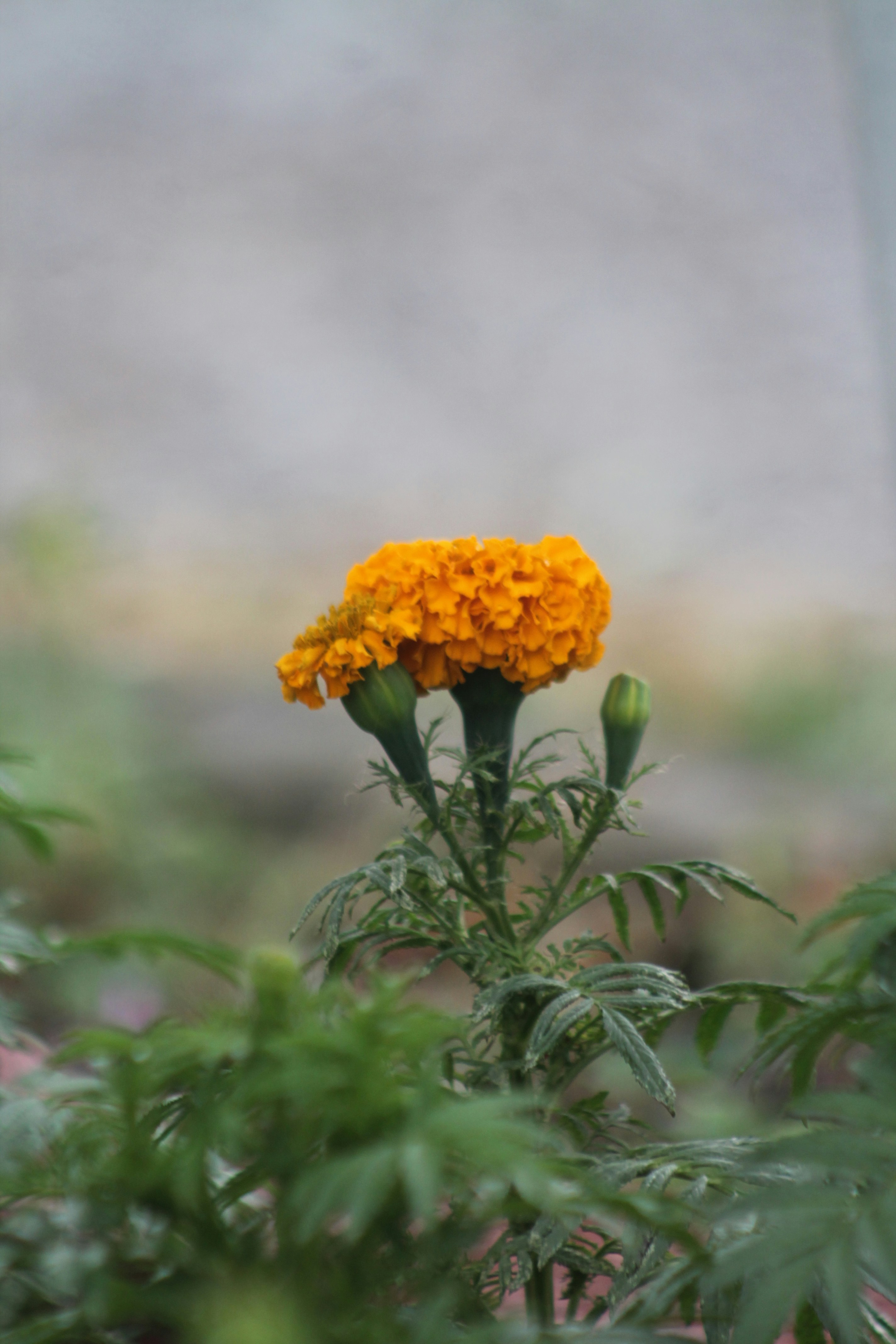 Photo by capturesbyusama