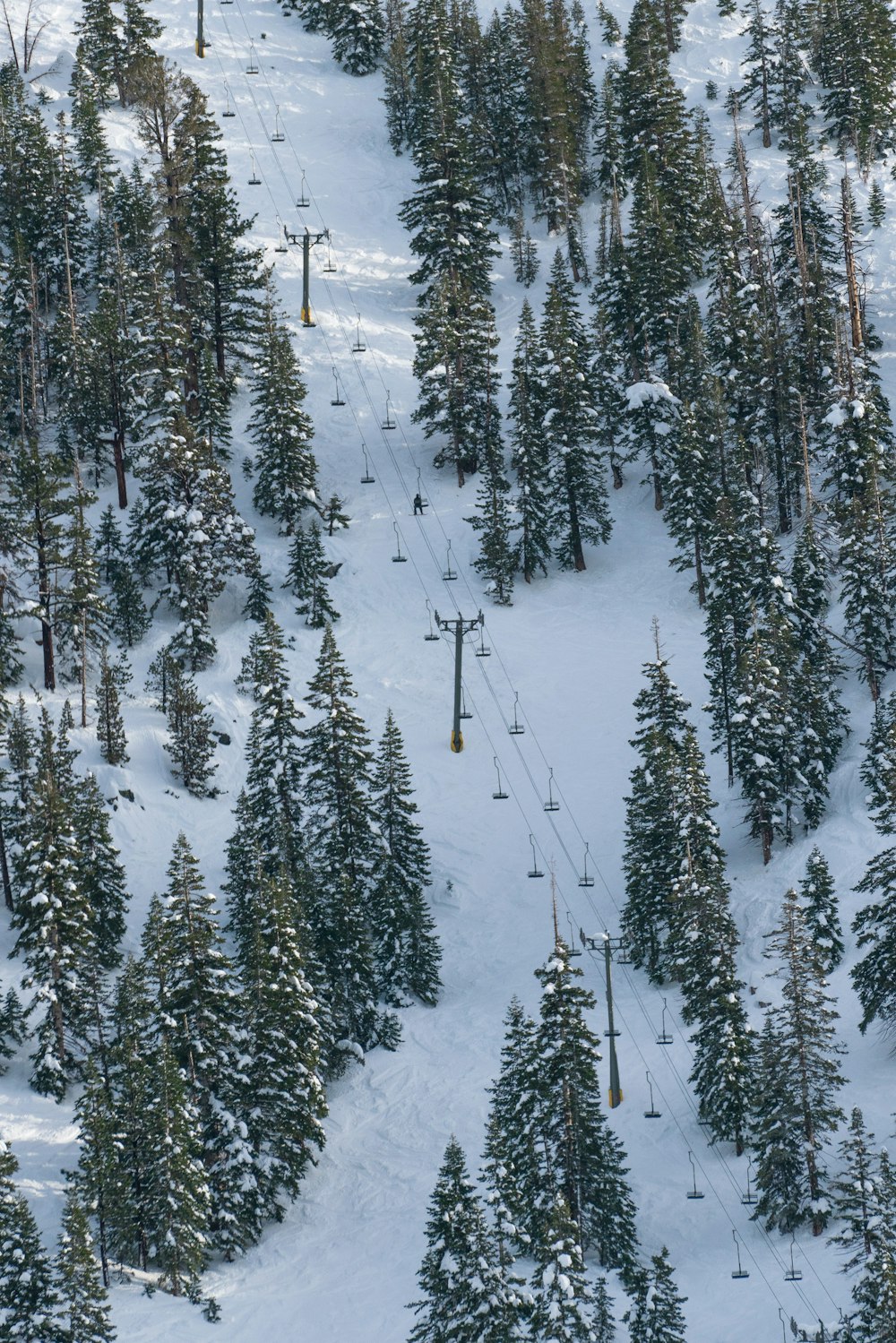 une piste de ski recouverte de neige