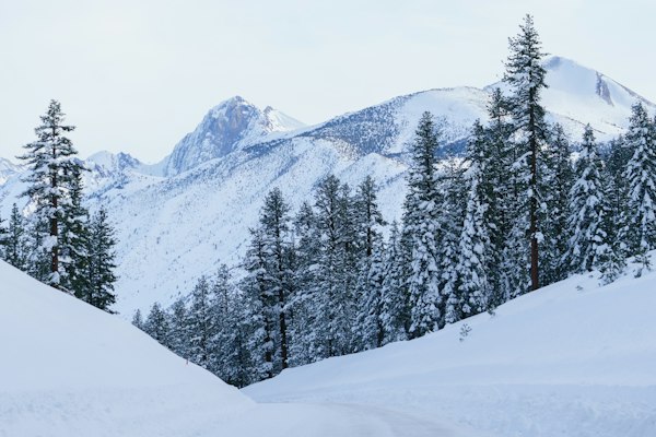 Snow-laden pine trees below a rocky Sierra crest after a storm, with deep untracked snow in the foreground
