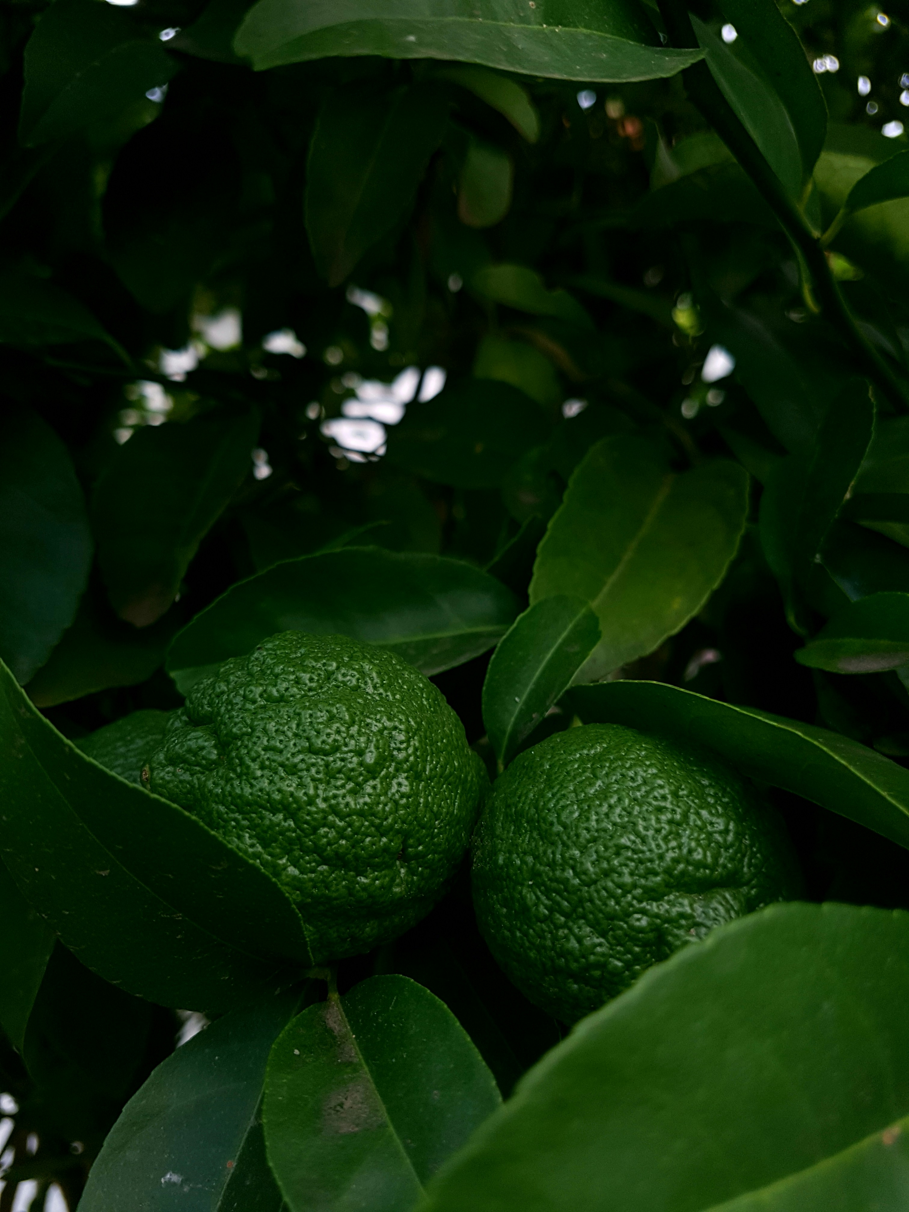 Photo by tashatshuma