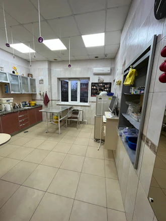 A clean kitchen with fresh air flowing, free from cooking odors.