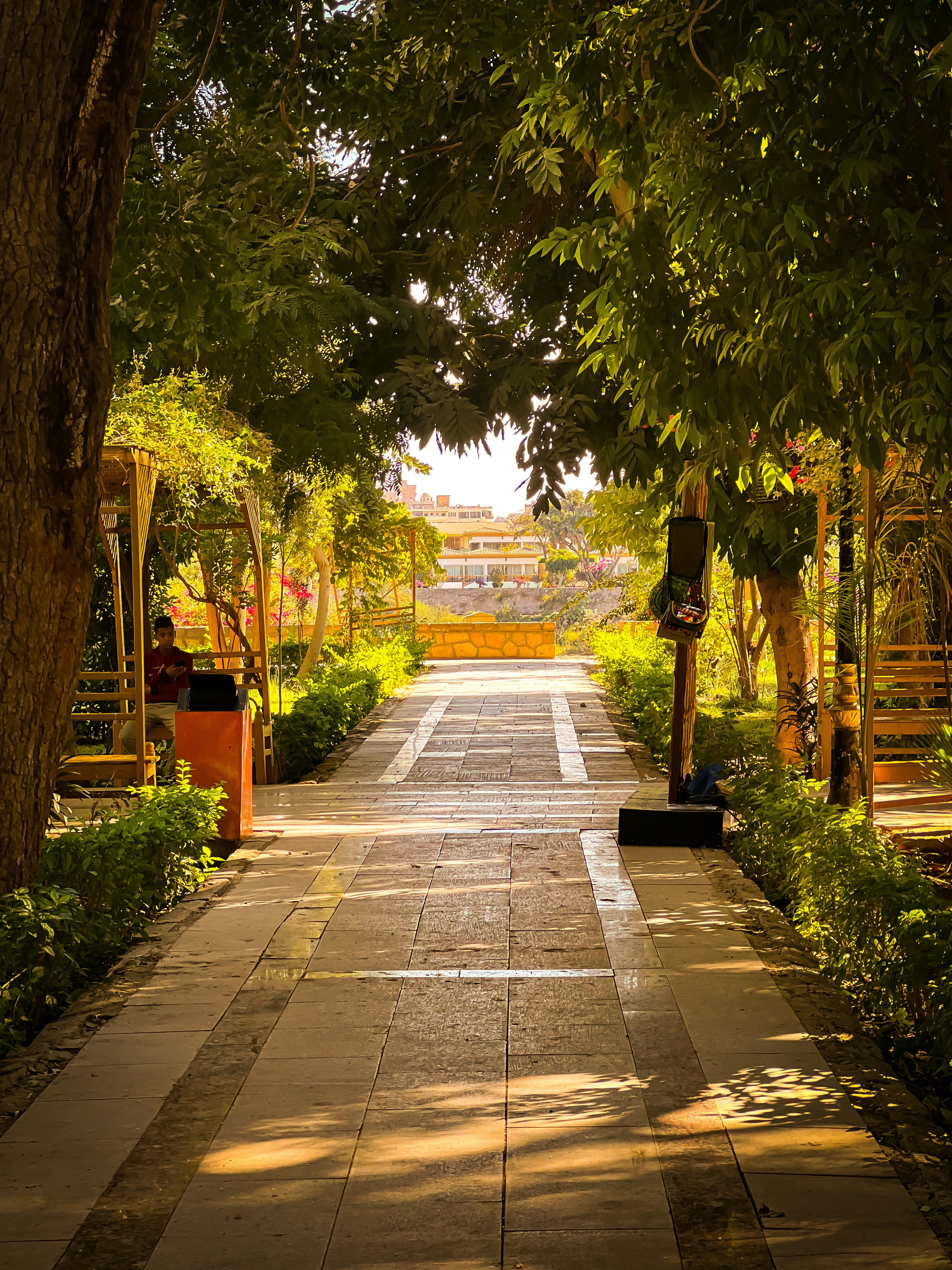 Aswan – Natural Environment & Landscapes