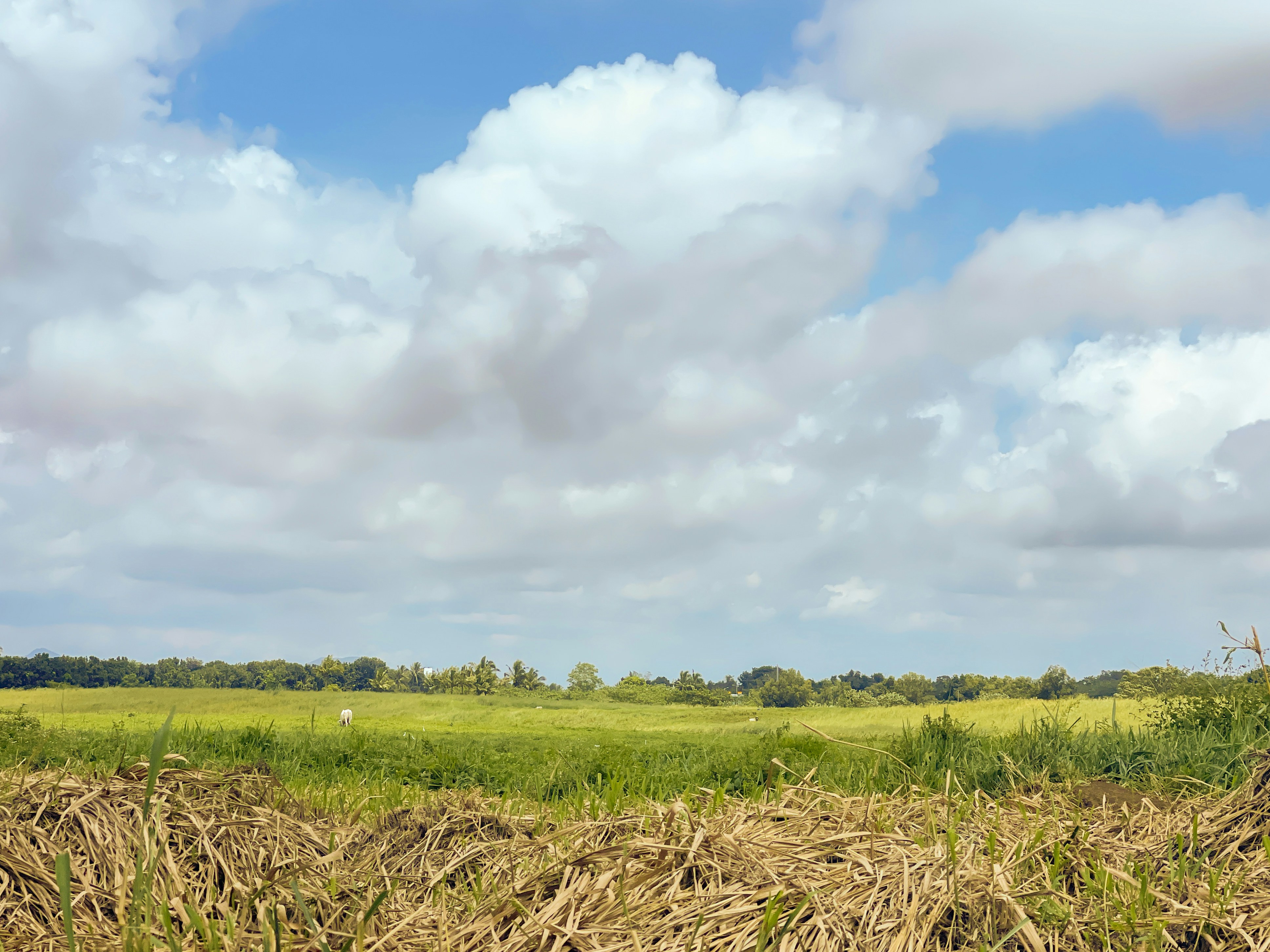 Photo by andallthings