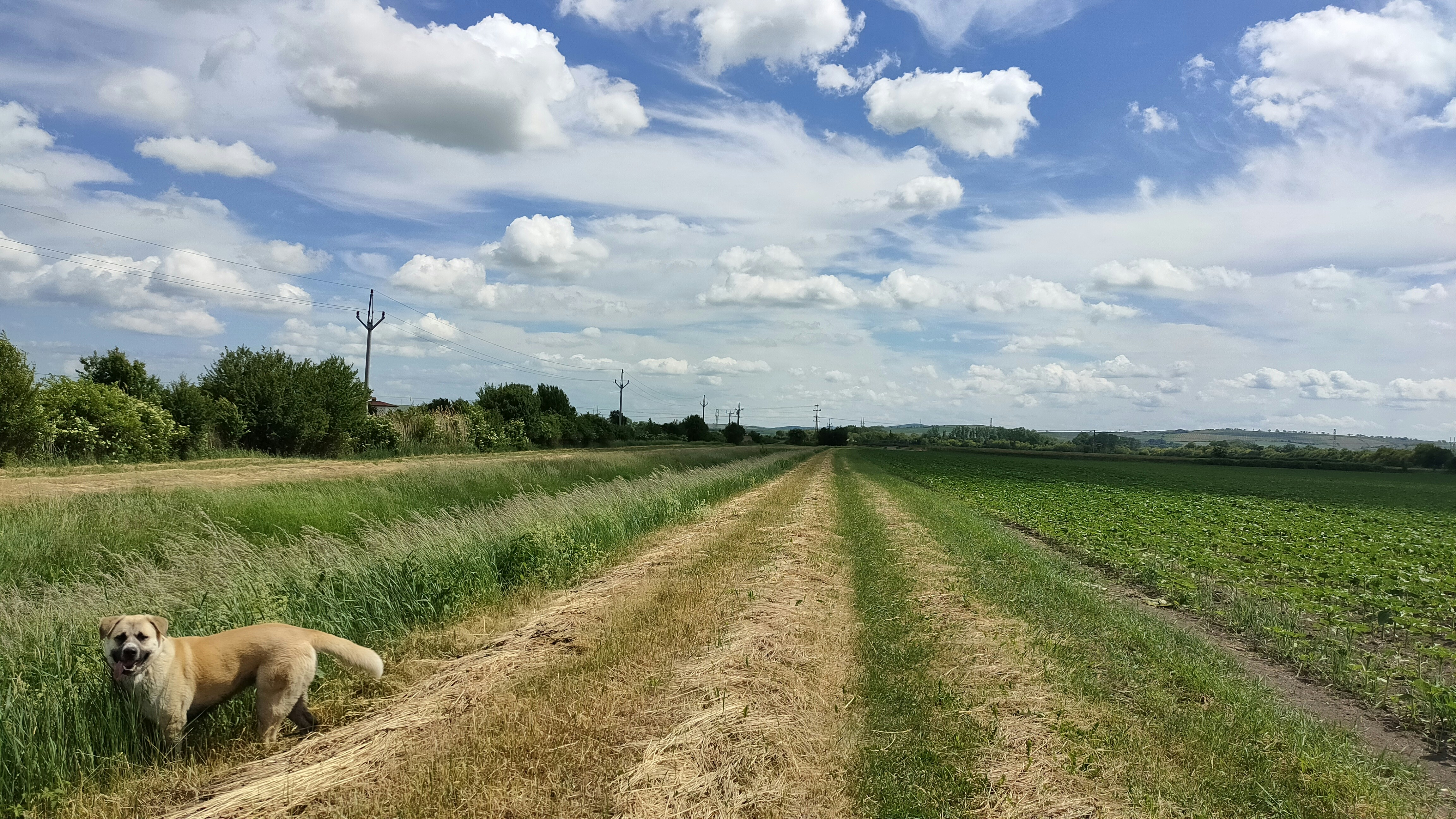 Photo by marjorylucabaxter