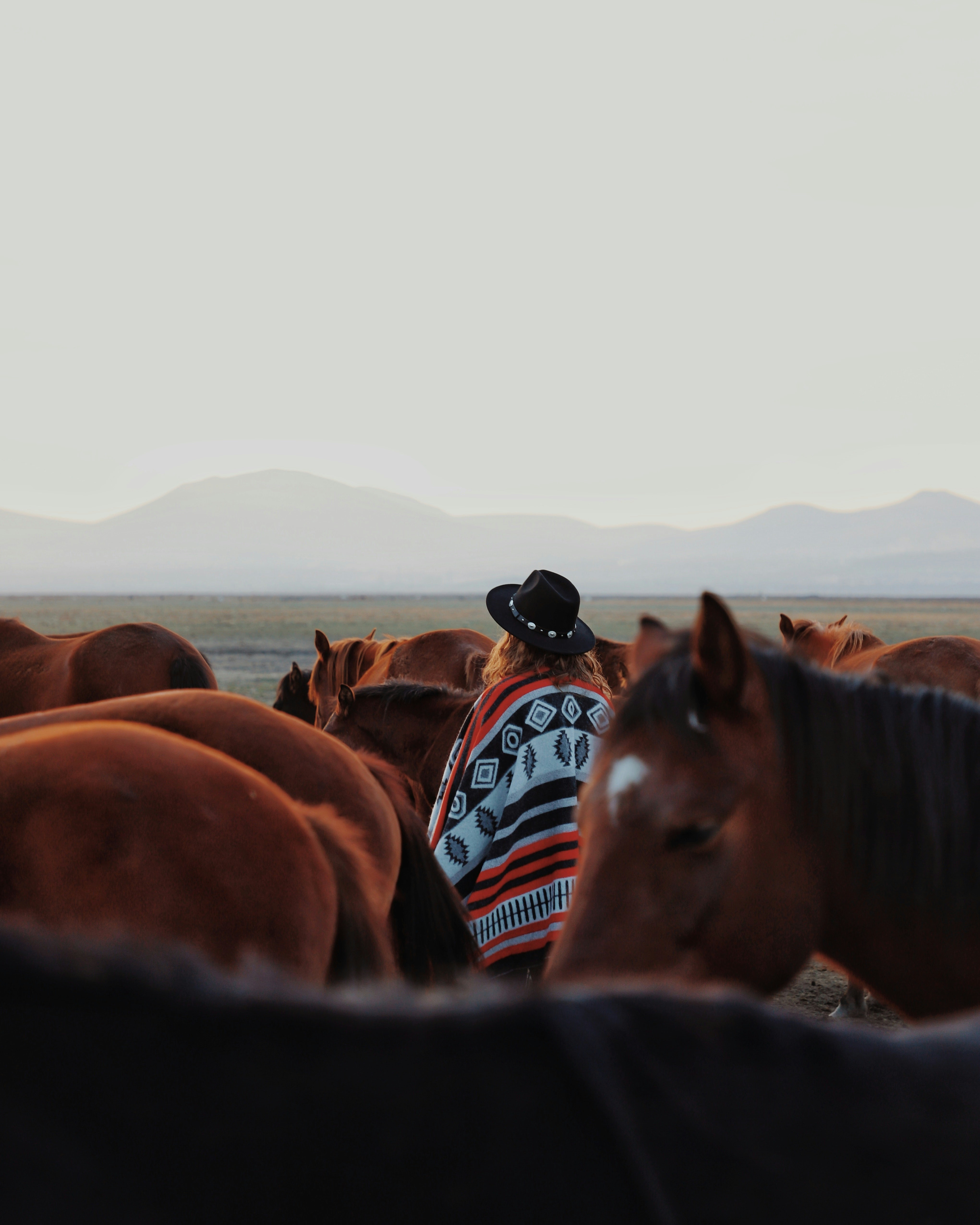 a man standing in front of a herd of horses