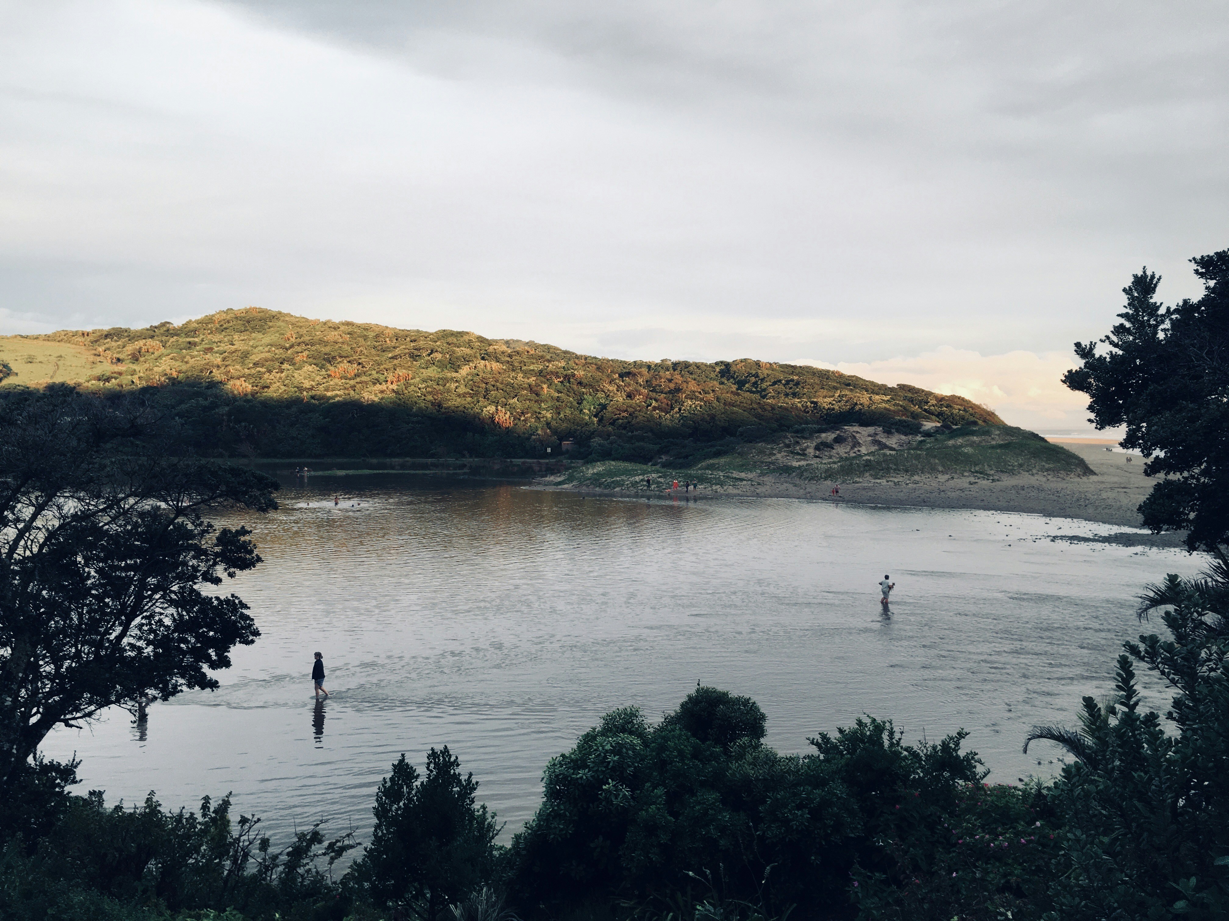 a body of water surrounded by trees and a hill