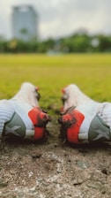 A close-up of a pair of football cleats on a grassy field, showcasing their design and texture.