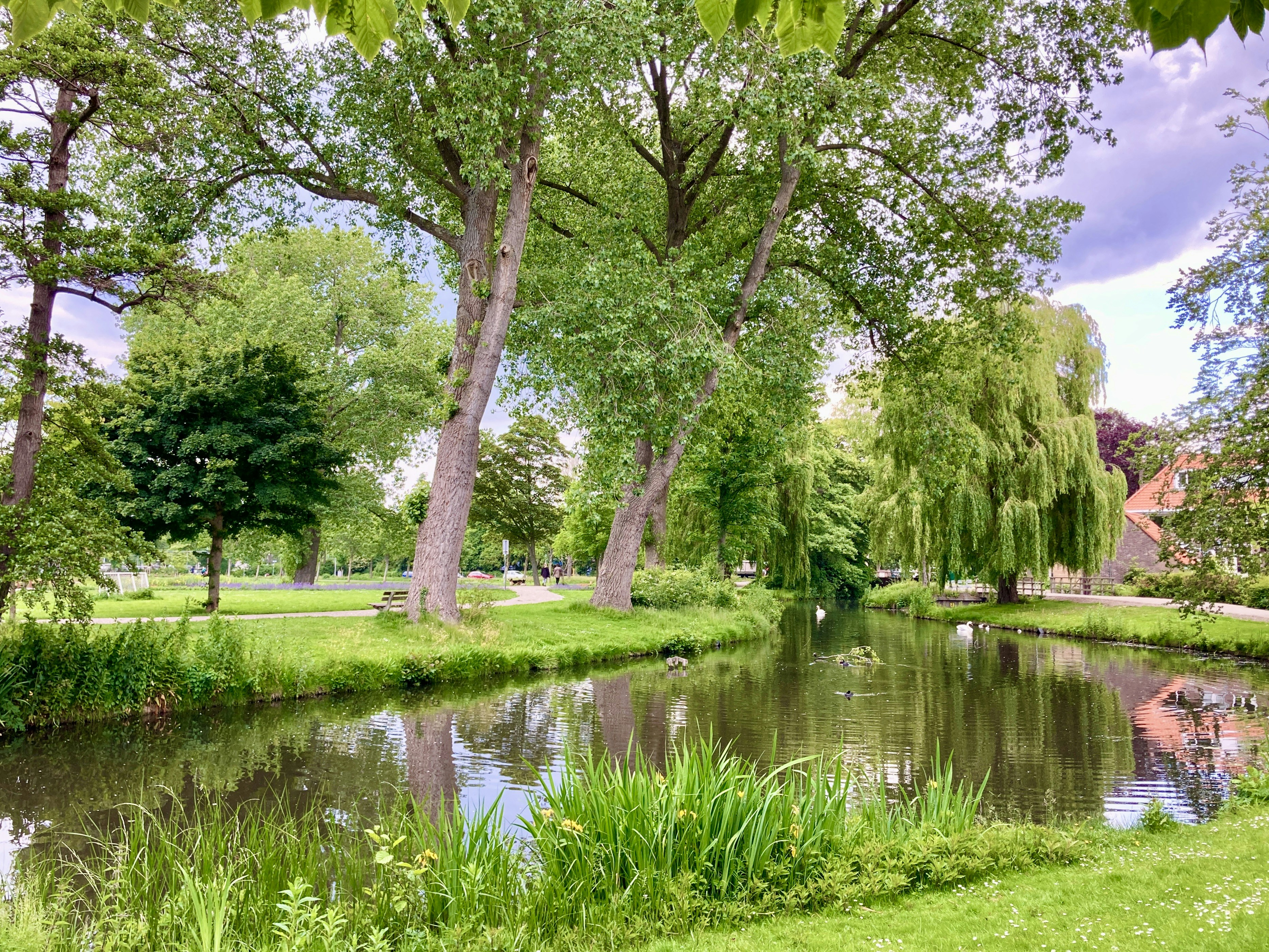 Photo by reinasekihara