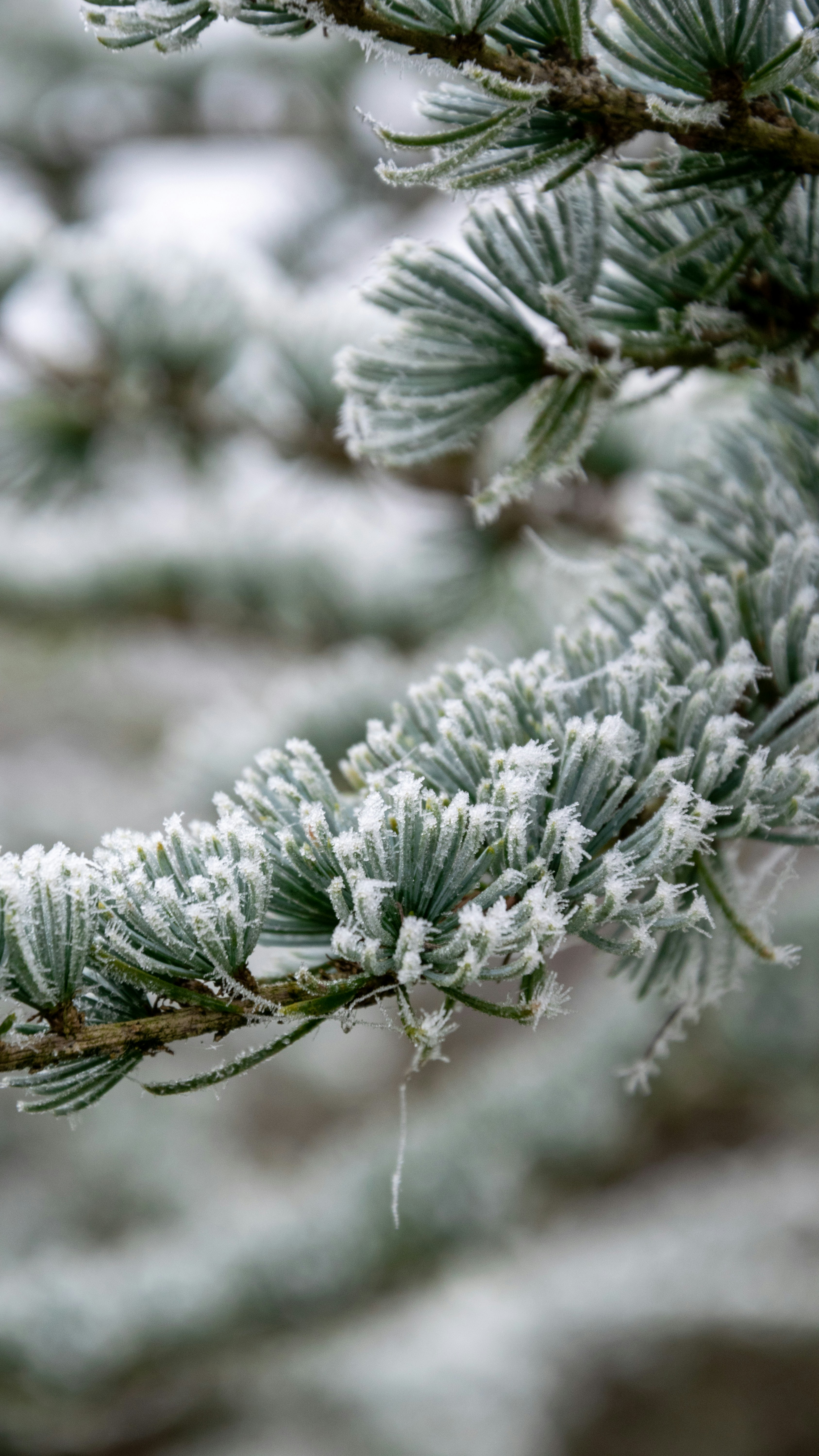 Photo by lemondeavecandrea