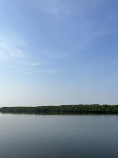 A serene shot of a billabong reflecting the surrounding gum trees and a clear blue sky, taken during a peaceful morning.