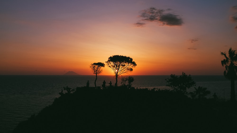 the sun is setting over the ocean and trees