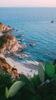 A stunning coastal landscape featuring clear blue ocean waters and rocky cliffs. Waves gently wash onto a sandy beach surrounded by greenery and cactus plants in the foreground, framing the view.