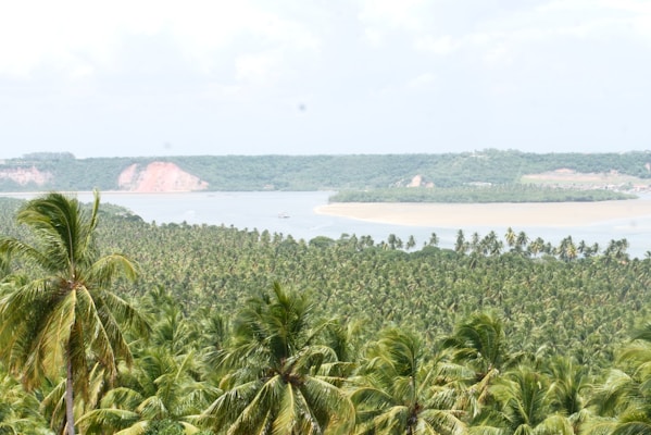 Alagoas