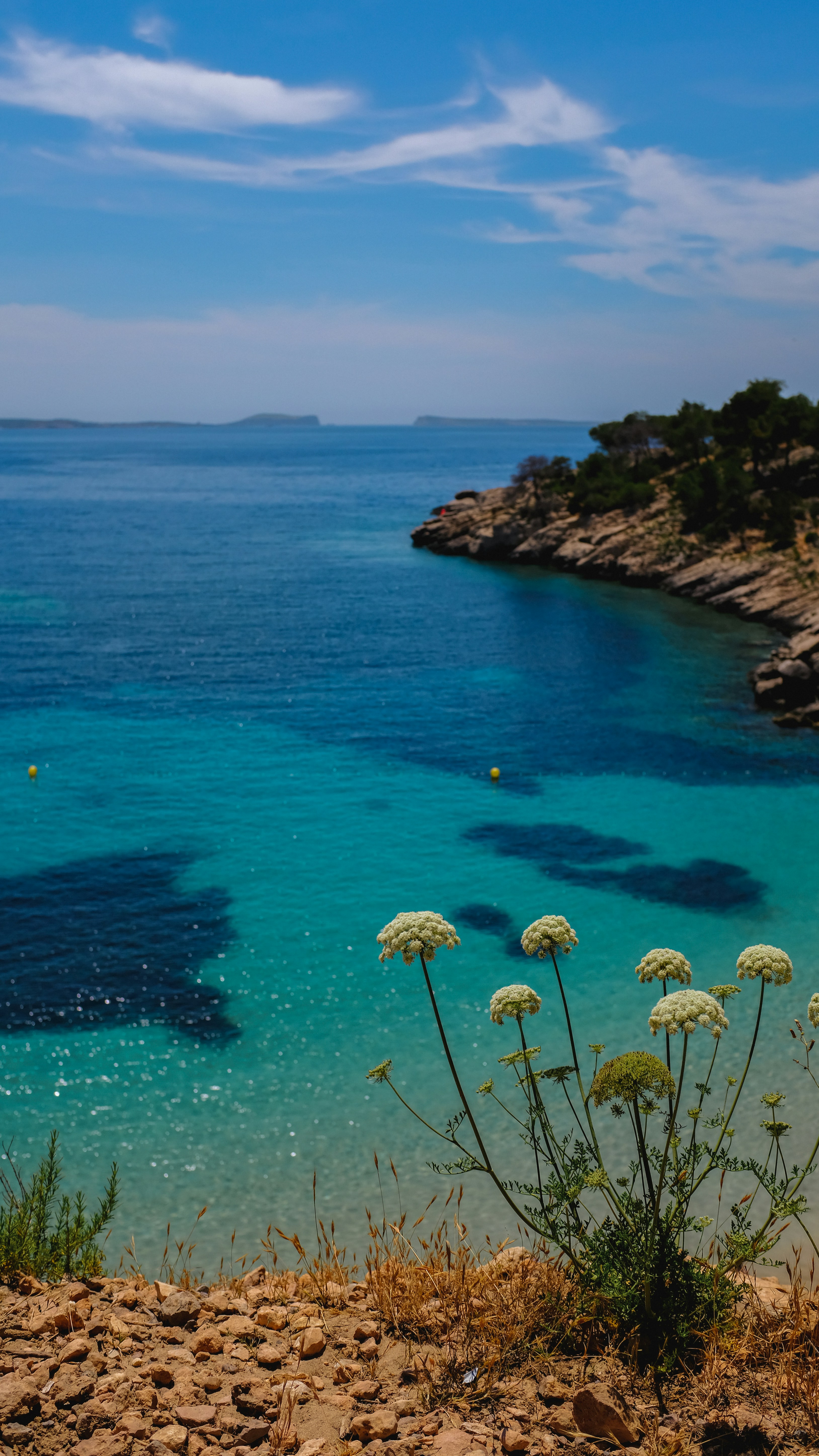 Photo by antogrossolano