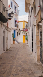A charming traditional Albanian village street with stone houses and vibrant flowers.