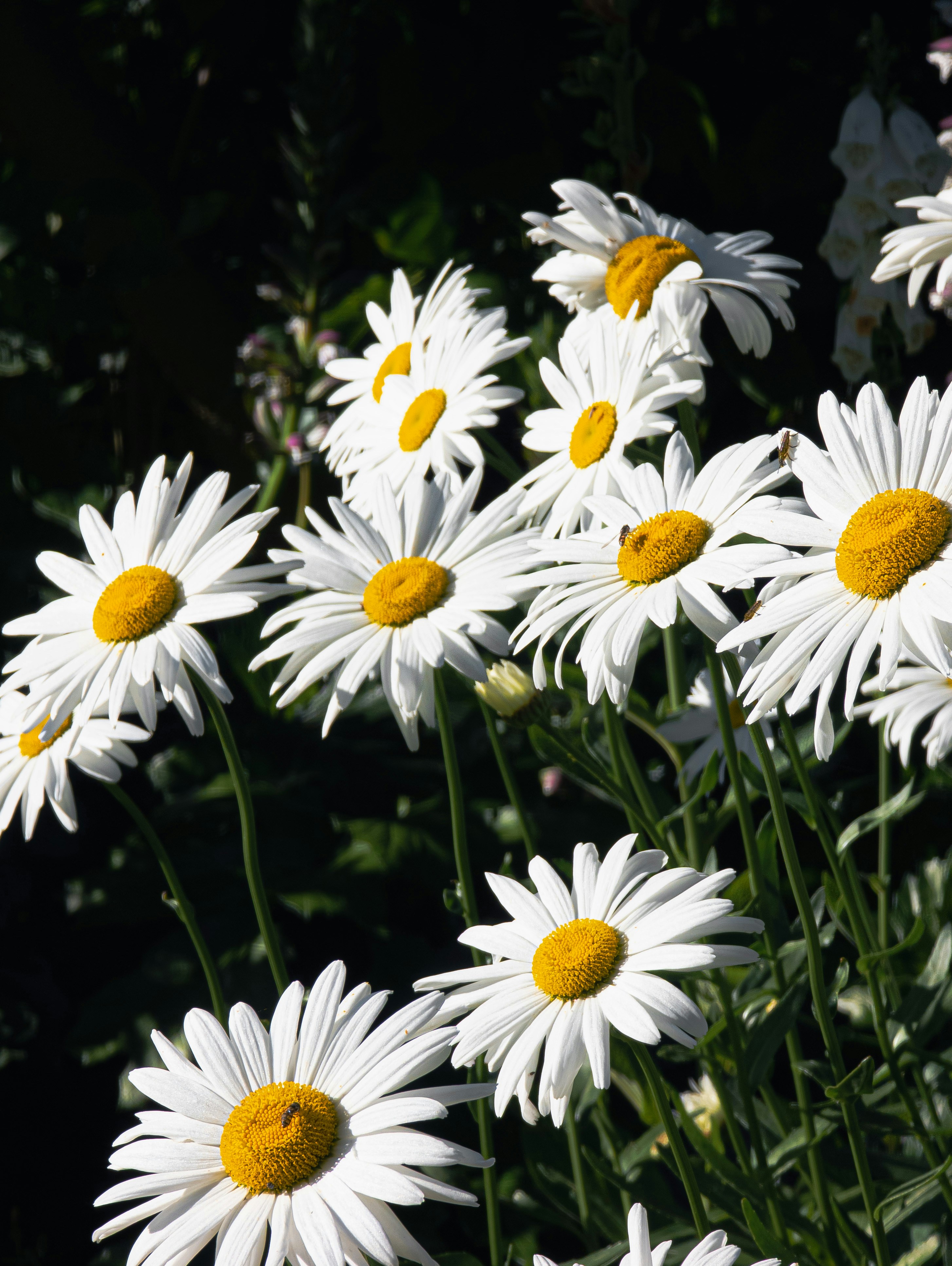 Photo by kenkuo_melb