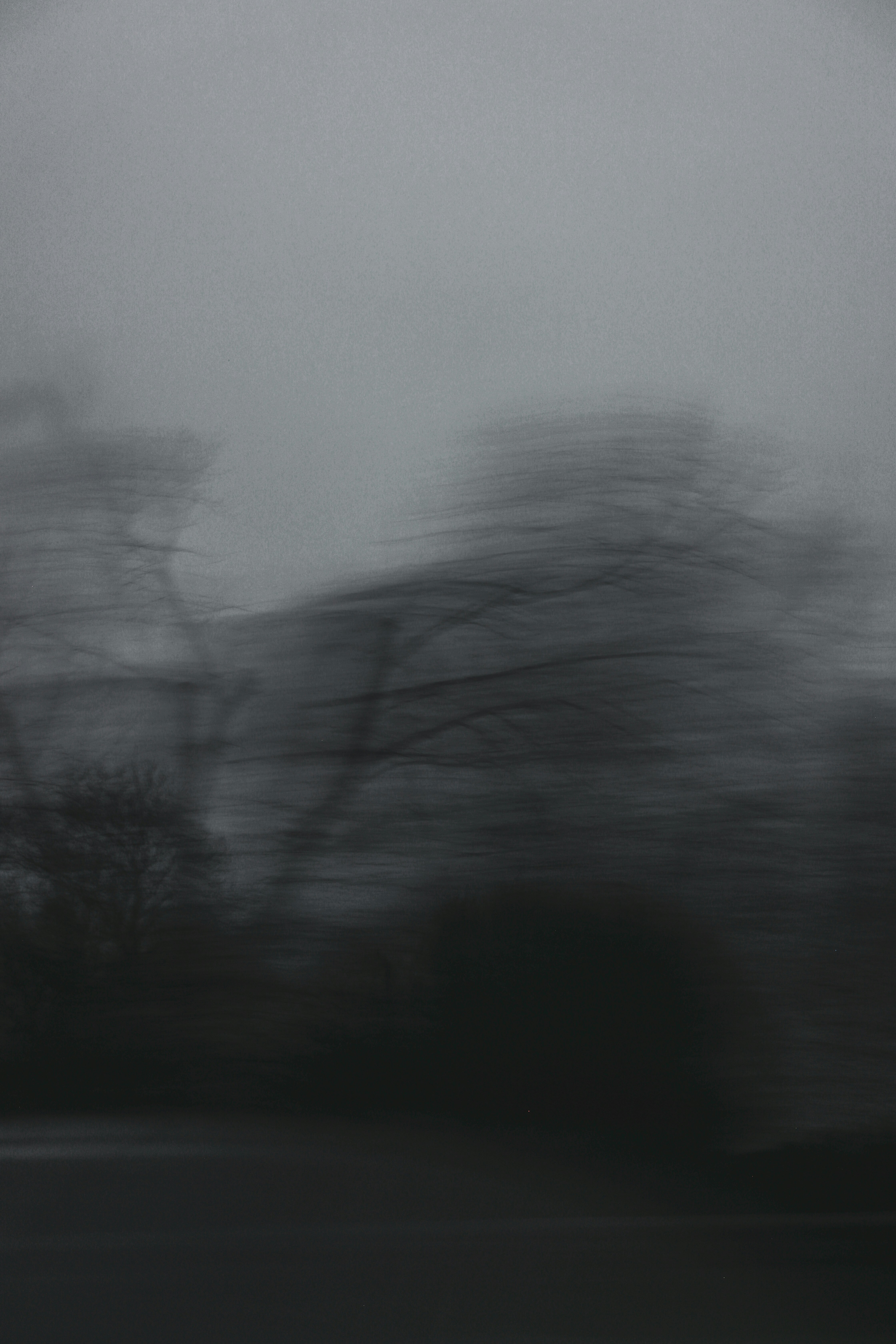 a black and white photo of trees in the fog