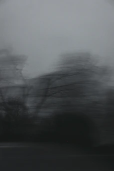 a black and white photo of trees in the fog