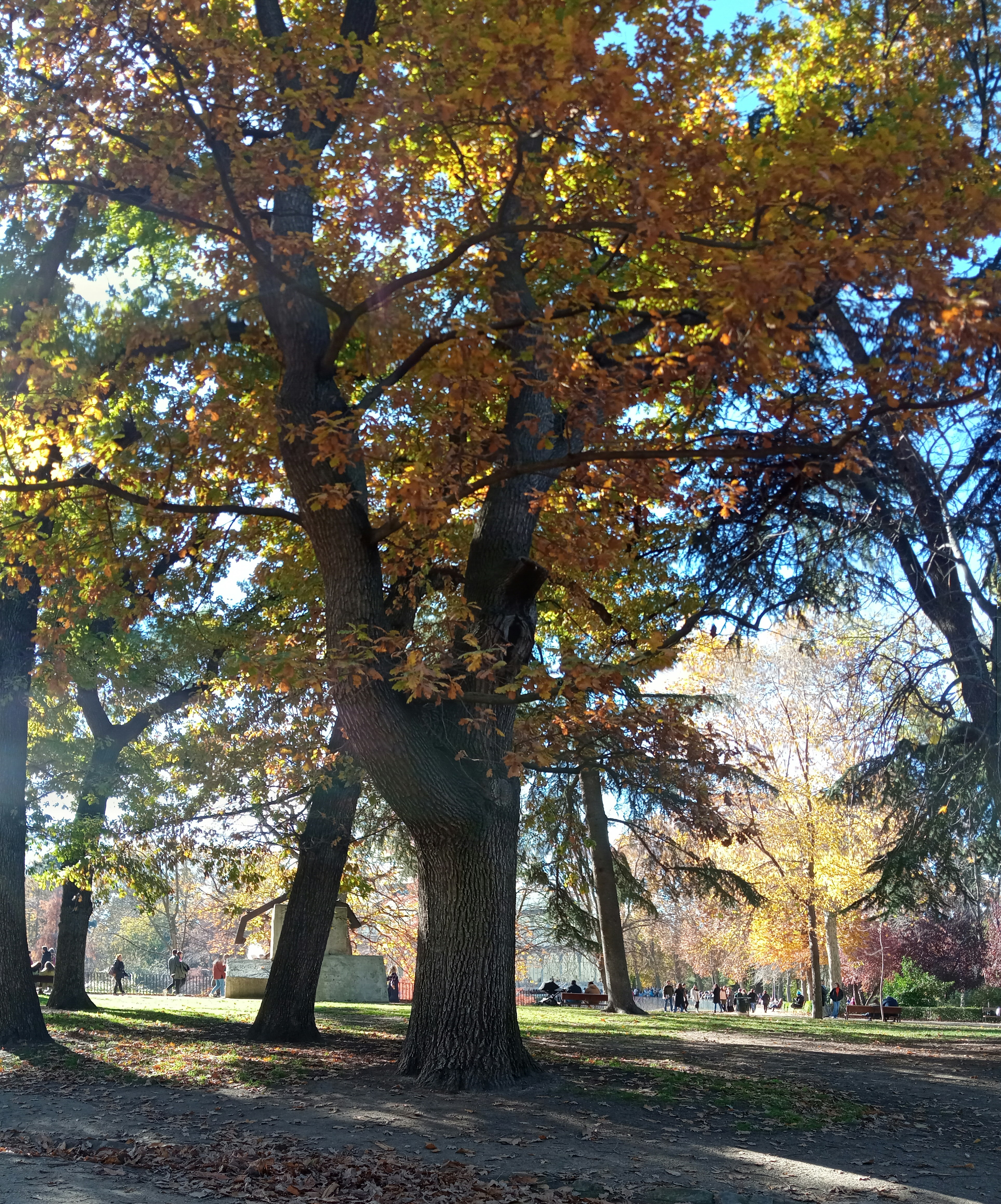 Photo by pepmetal1973