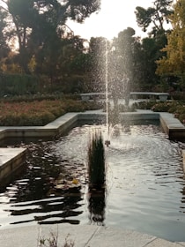 A tranquil water feature surrounded by greenery, symbolizing peace and renewal.