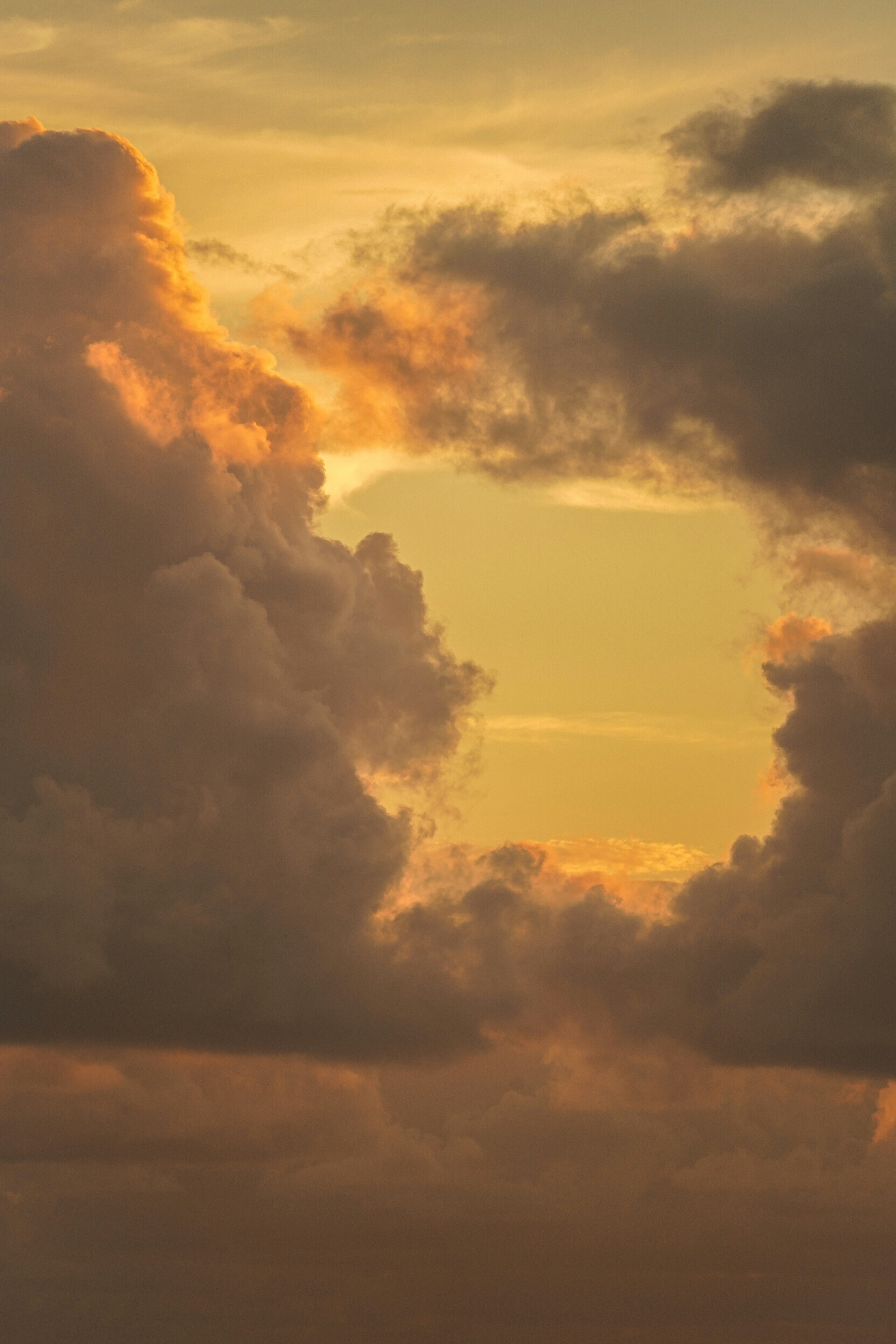 Photo by vencislavsh