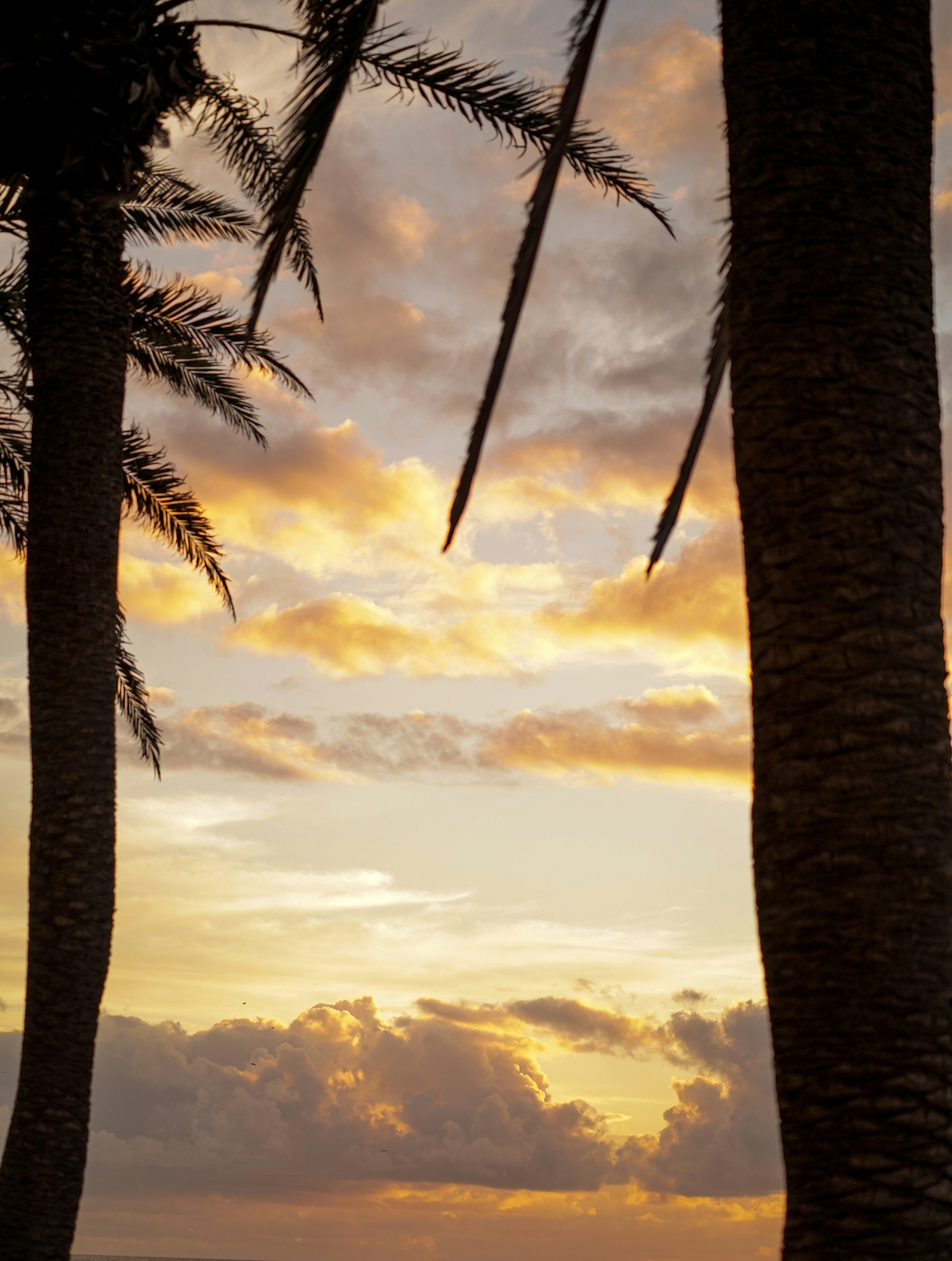 Photo by vencislavsh