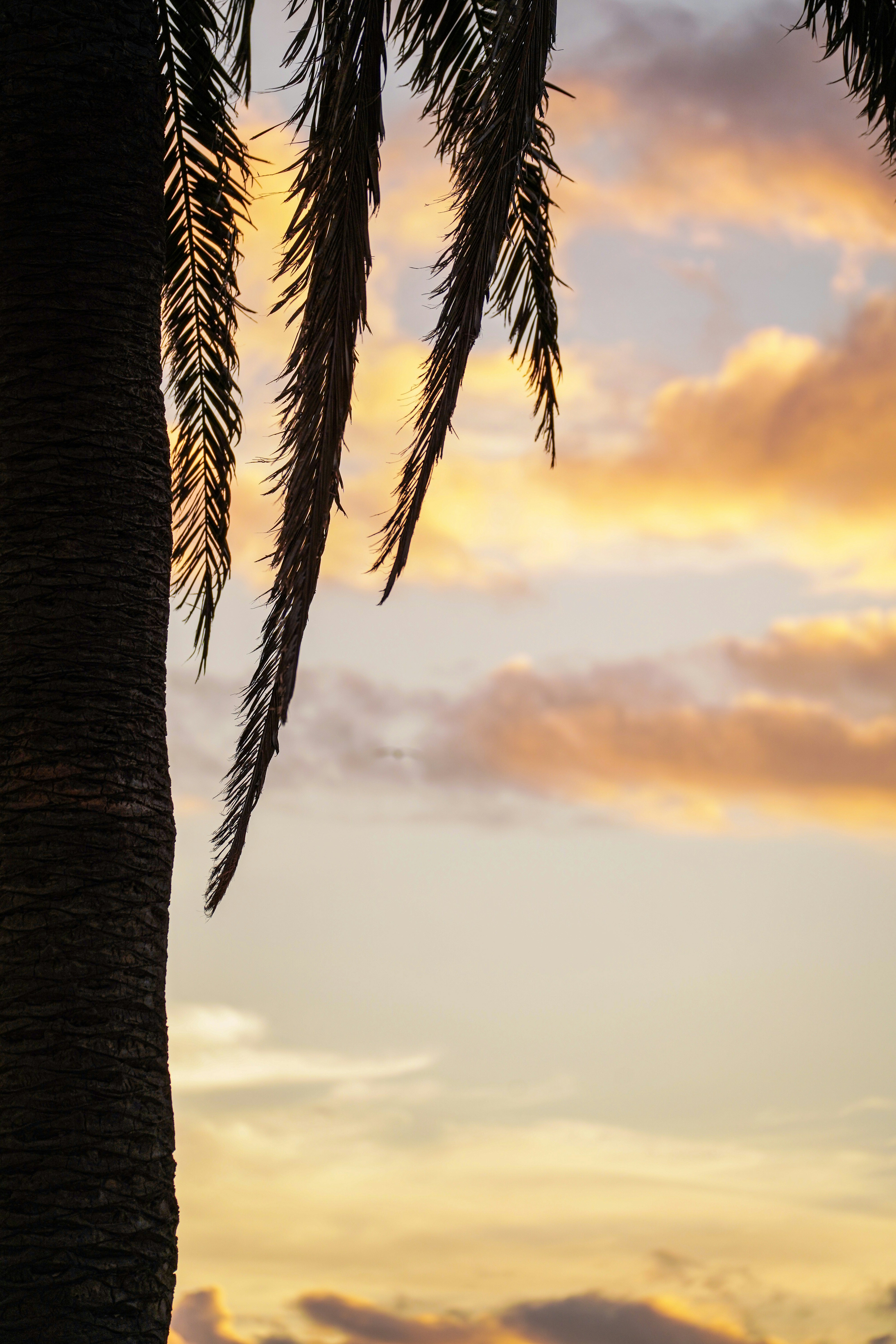 Photo by vencislavsh