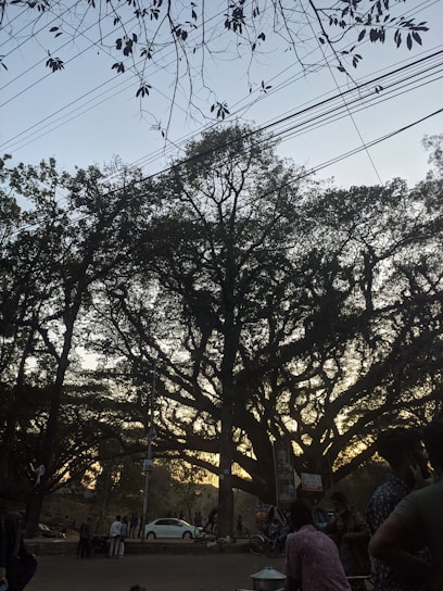 Large trees with dense branches and leaves are silhouetted against the sky, with power lines running horizontally. People are gathered around, some standing near market stalls or signs. A car is parked nearby, and there is a general sense of a busy outdoor area.