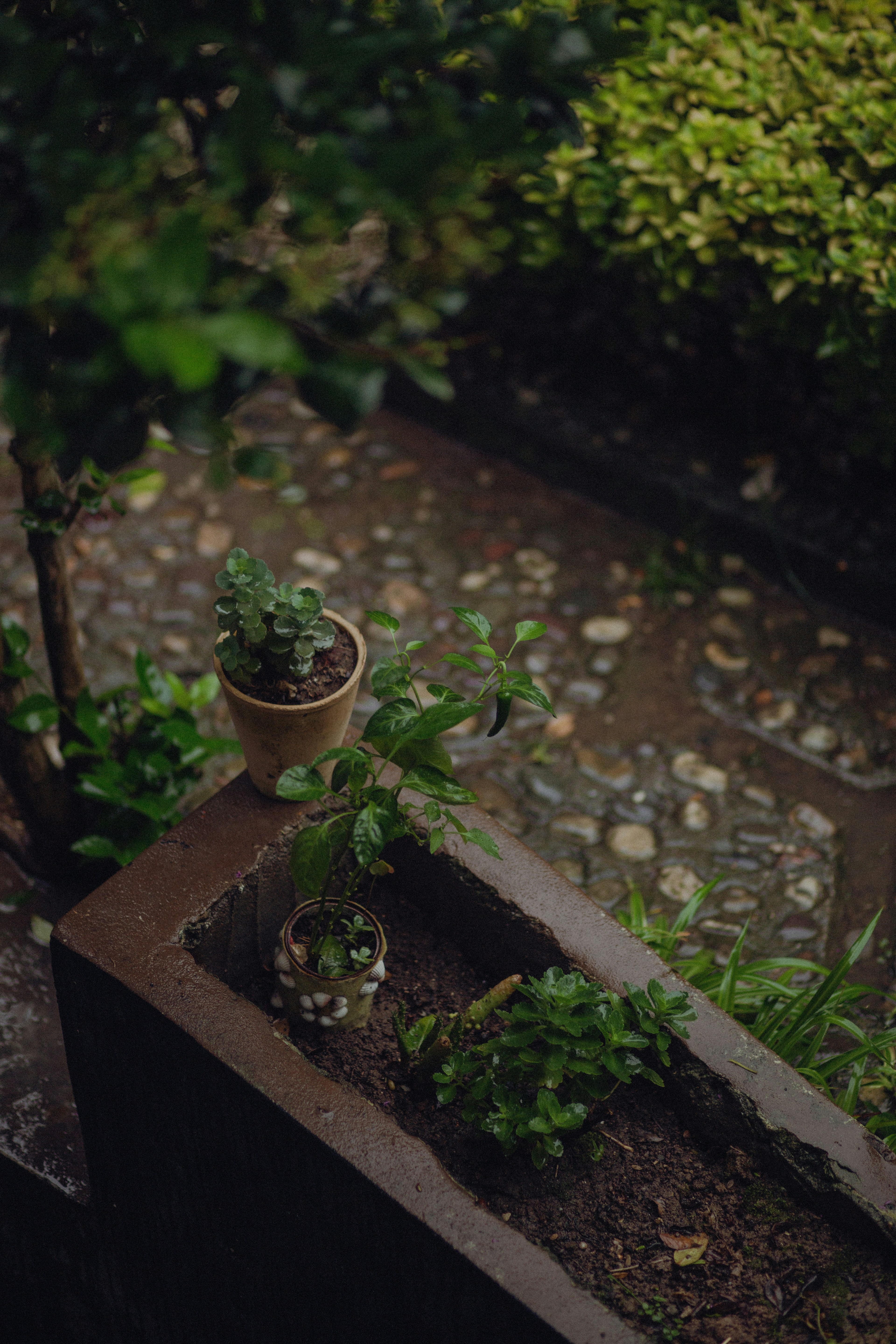 Photo by mohsenamerri