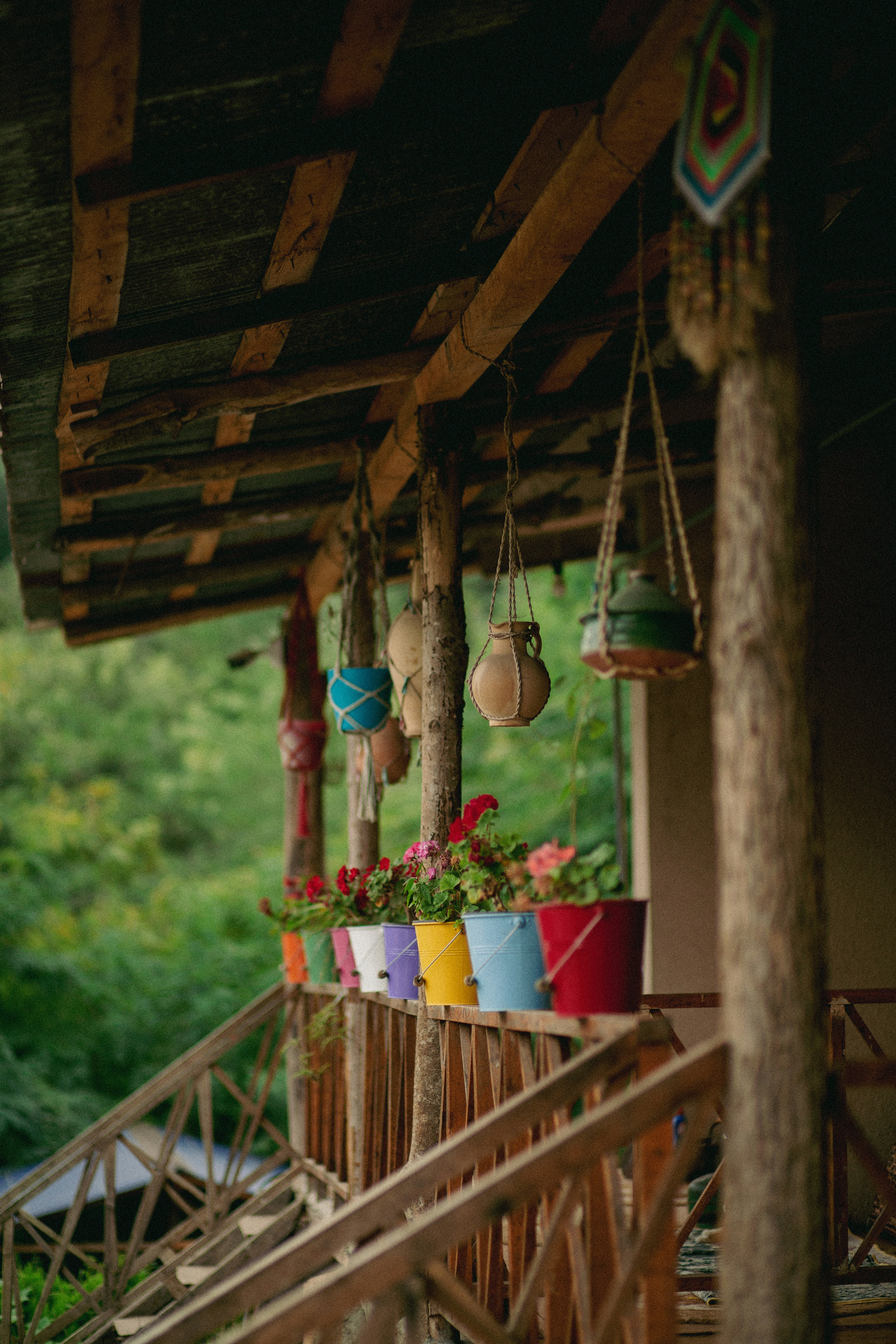 Photo by mohsenamerri