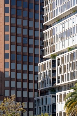 Two contrasting building facades appear side by side. On the left, a brown brick high-rise features a repetitive pattern of dark, rectangular windows. On the right, a modern, white building is characterized by large, protruding balconies and extensive use of glass, with visible greenery on some balconies. In the foreground, the tops of trees are visible, including a palm tree.